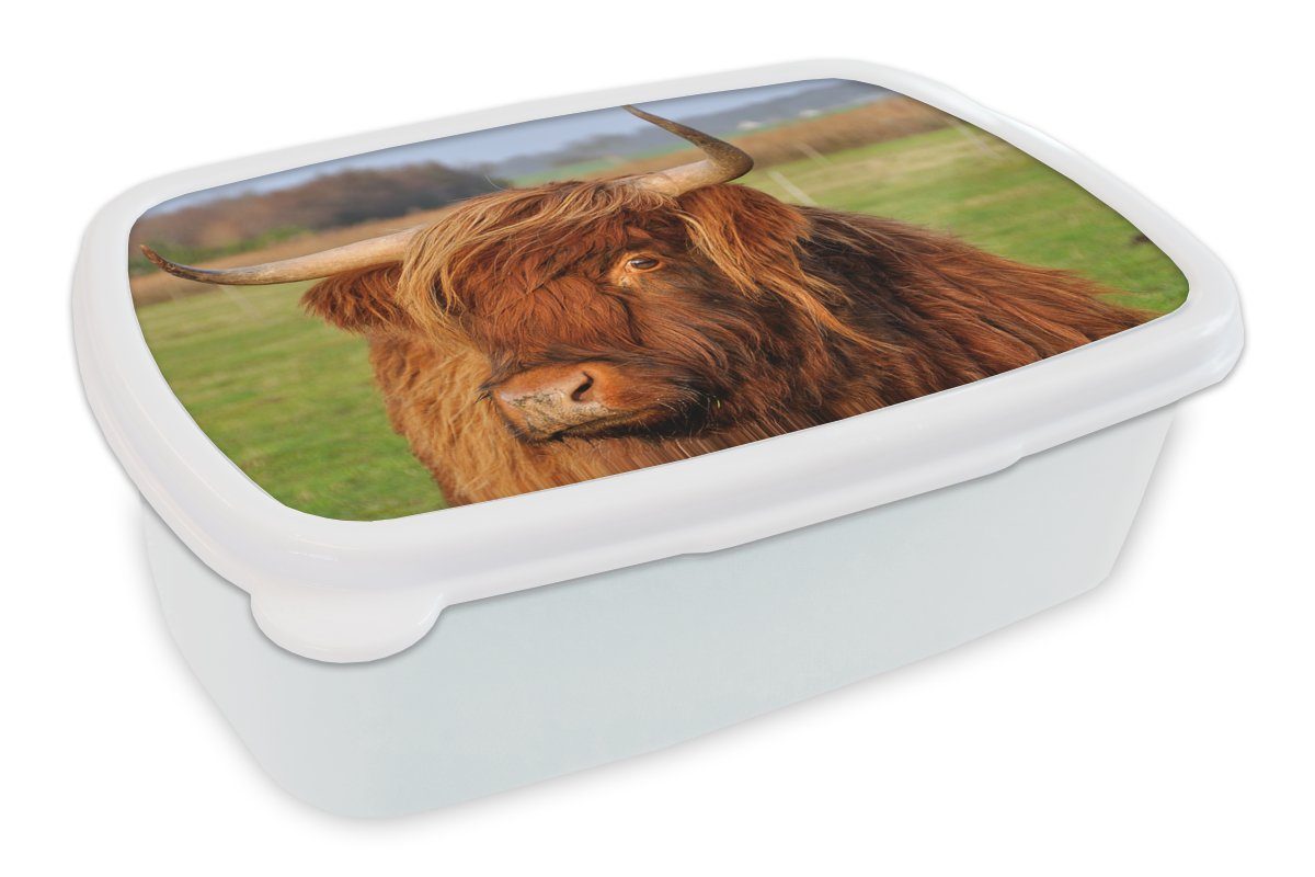 Kinder - Jungs Brotbox - Brotdose, Lunchbox Gras Highlander weiß und MuchoWow für für Kunststoff, Schottischer (2-tlg), Mädchen und Baum, Erwachsene,