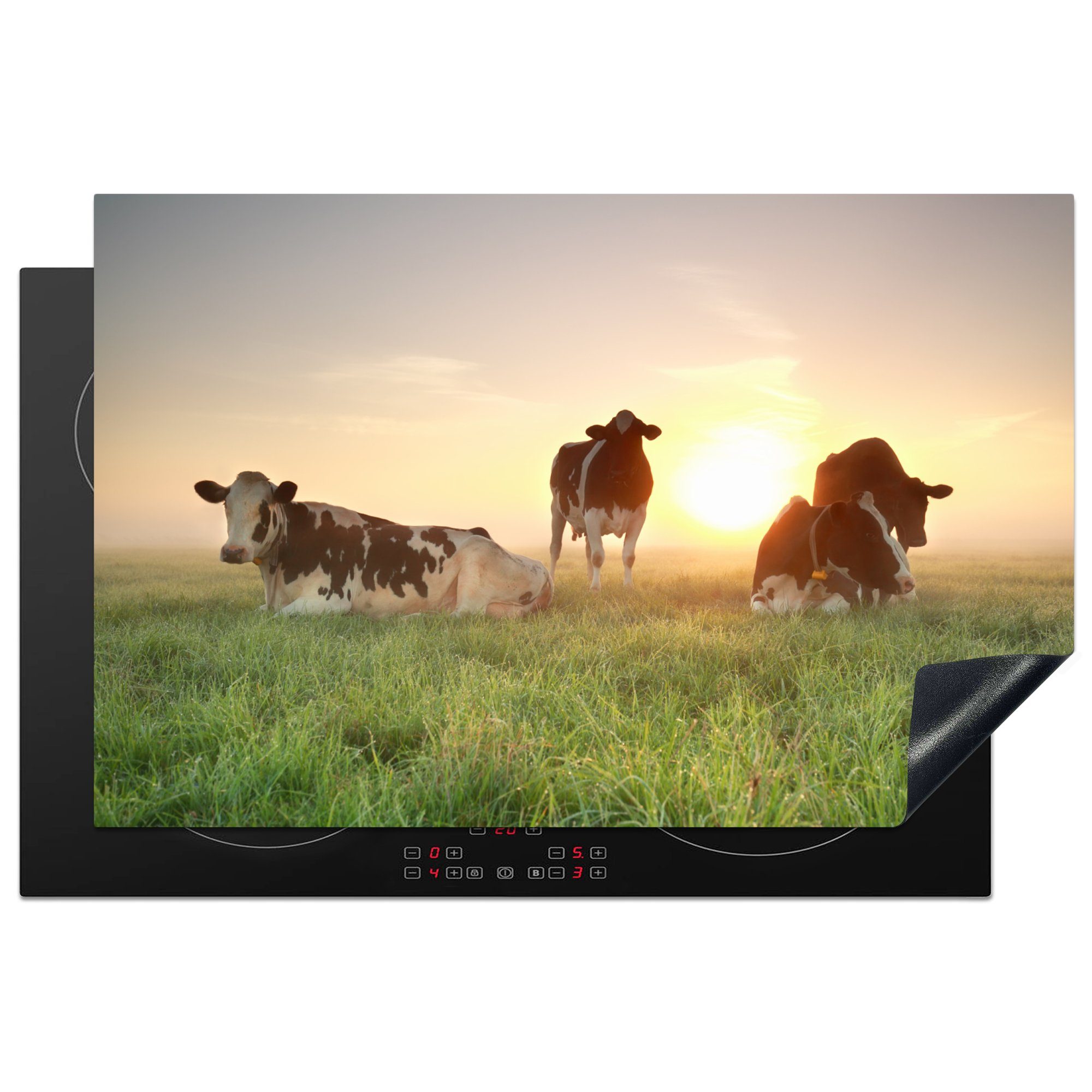 81x52 Kuh küche, Induktionskochfeld (1 die tlg), cm, - für Ceranfeldabdeckung Sonne Vinyl, Schutz Gras, - Herdblende-/Abdeckplatte MuchoWow