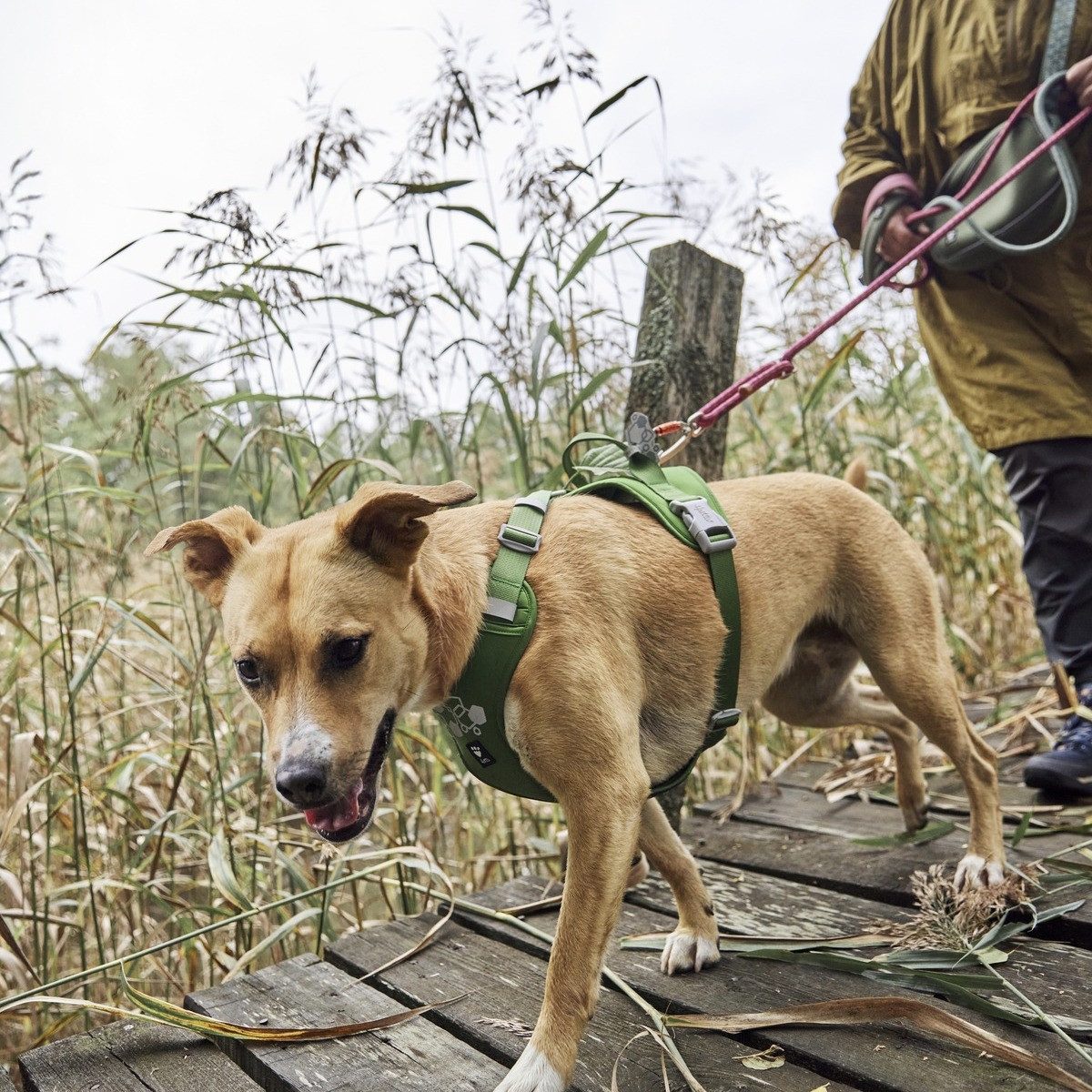 HURTTA Hunde-Geschirr Weekend Warrior Geschirr II ECO parsley (grün)