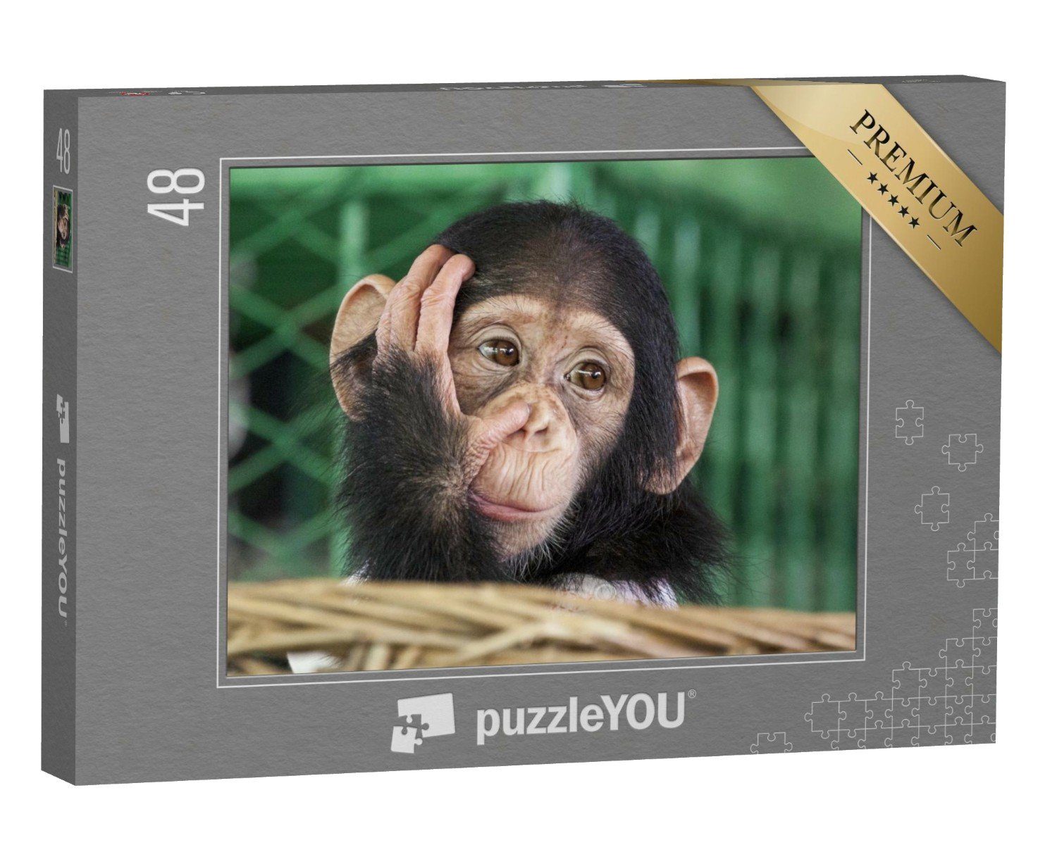 Puzzleteile, kleiner Tiere, Schimpanse, Ein 48 puzzleYOU Affen, Puzzle puzzleYOU-Kollektionen Schimpansen