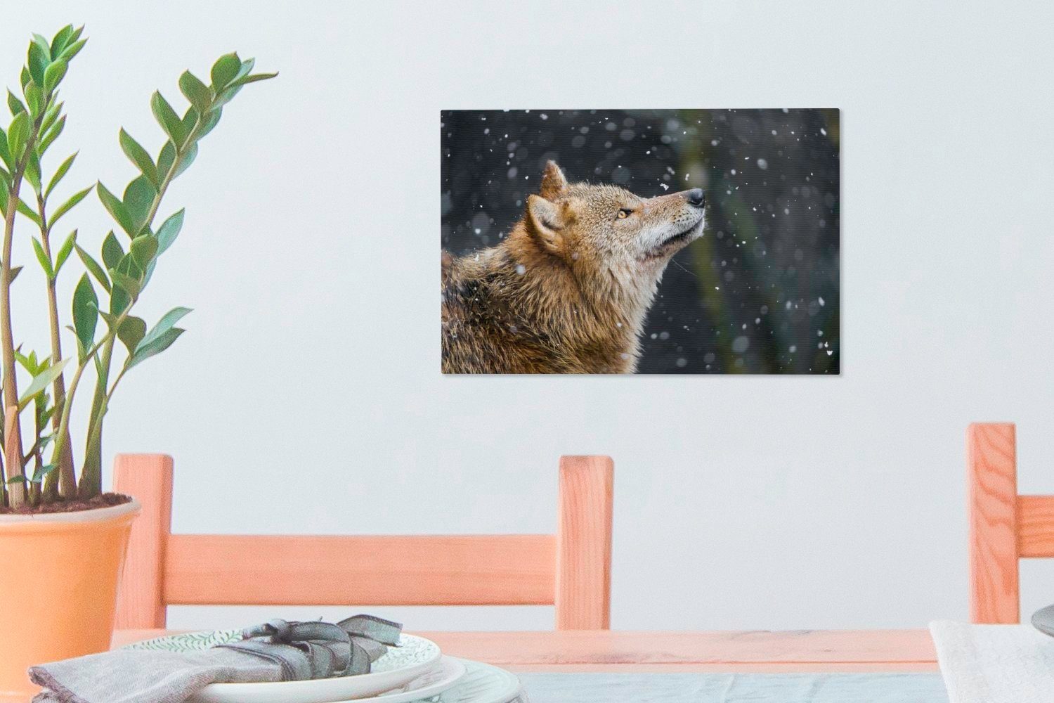 Winter, - (1 Leinwandbilder, cm St), Leinwandbild Wanddeko, Fell OneMillionCanvasses® Wolf Wandbild - - Aufhängefertig, Schneeflocke 30x20