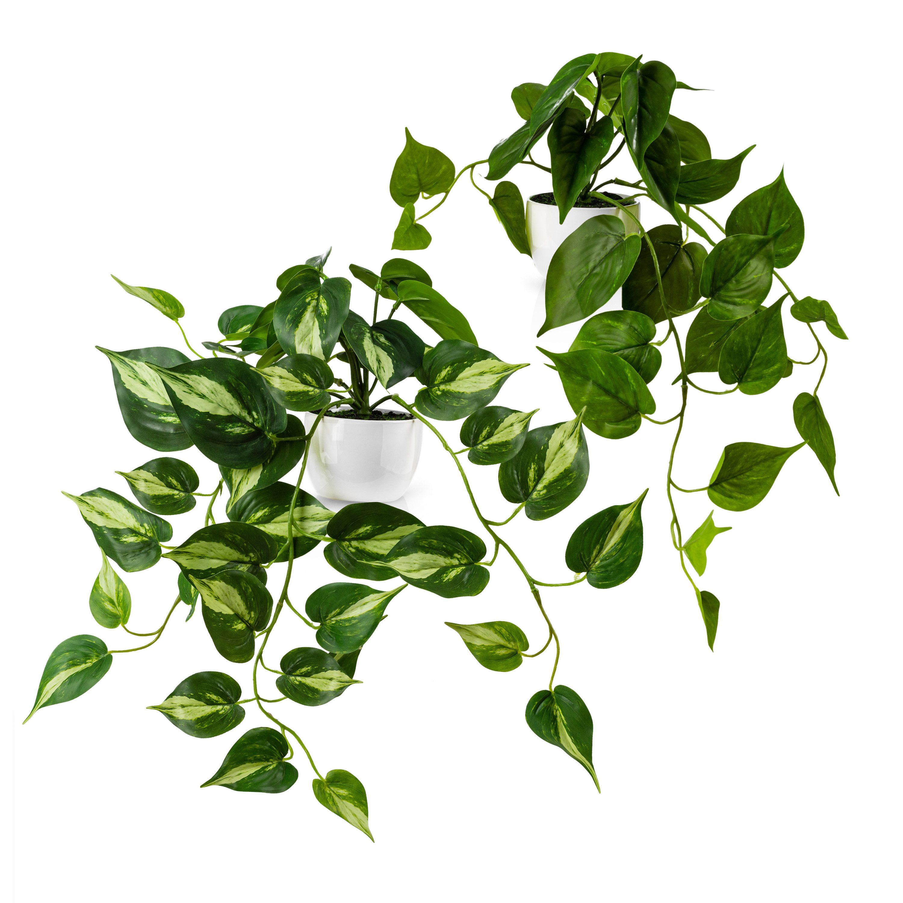 Kunstpflanze Künstliche hängepflanzen im Keramiktopf, Kunstpflanze hängend günstig online kaufen