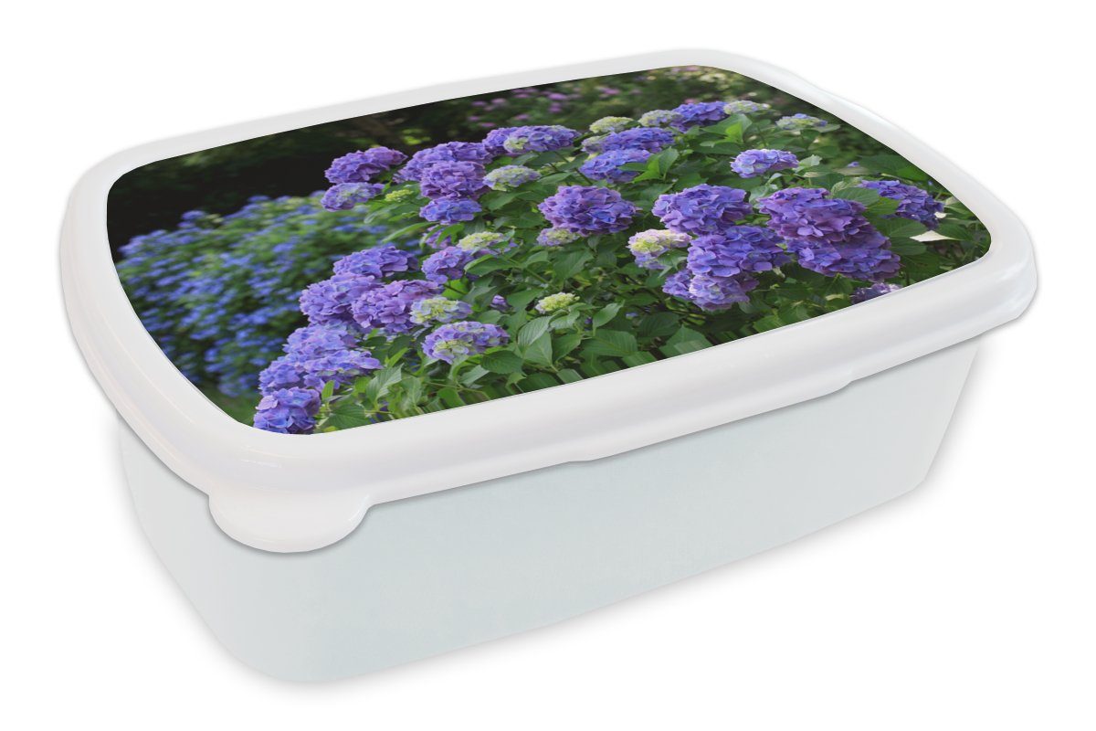 MuchoWow Lunchbox weiß (2-tlg), einem Kinder Lila für für Brotbox Kunststoff, Jungs Mädchen und japanischen in Hortensien und Garten, Brotdose, Erwachsene