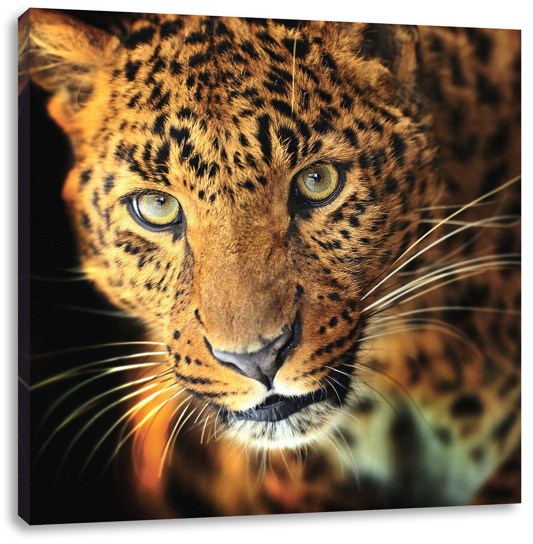 Zackenaufhänger (1 Leinwandbild Leopard, inkl. bespannt, St), Leopard Pixxprint Anmutiger Anmutiger Leinwandbild fertig