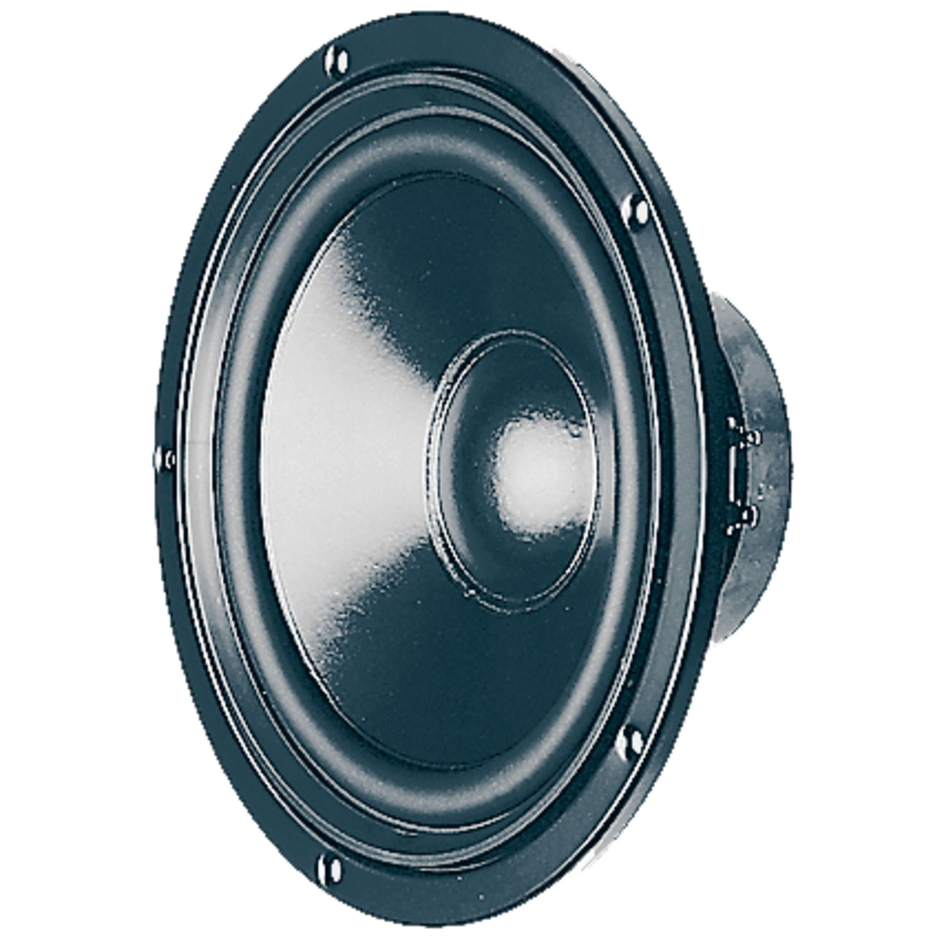 Visaton Lautsprecher (W 200 S - 8 Ohm HiFi-Tieftöner, 115W, 8" - Lautsprecher)