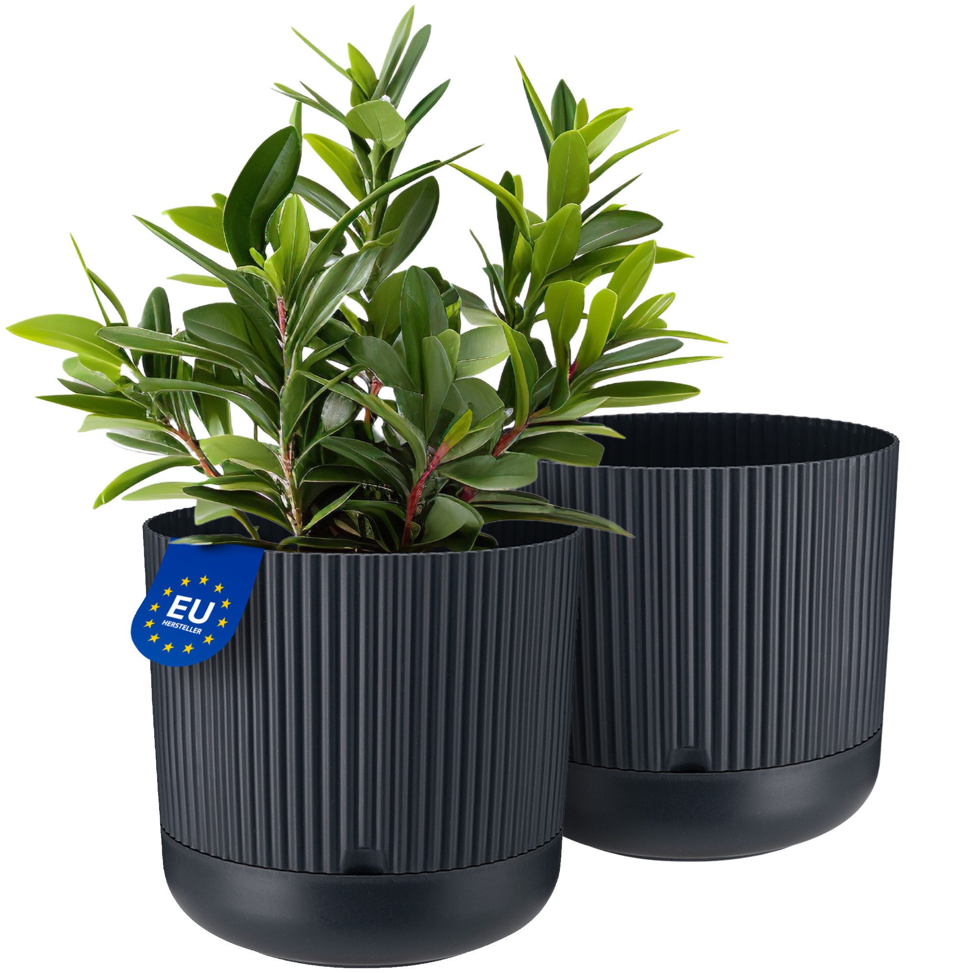 KONZEPT Blumentopf mit Untersetzer, 16 cm günstig online kaufen