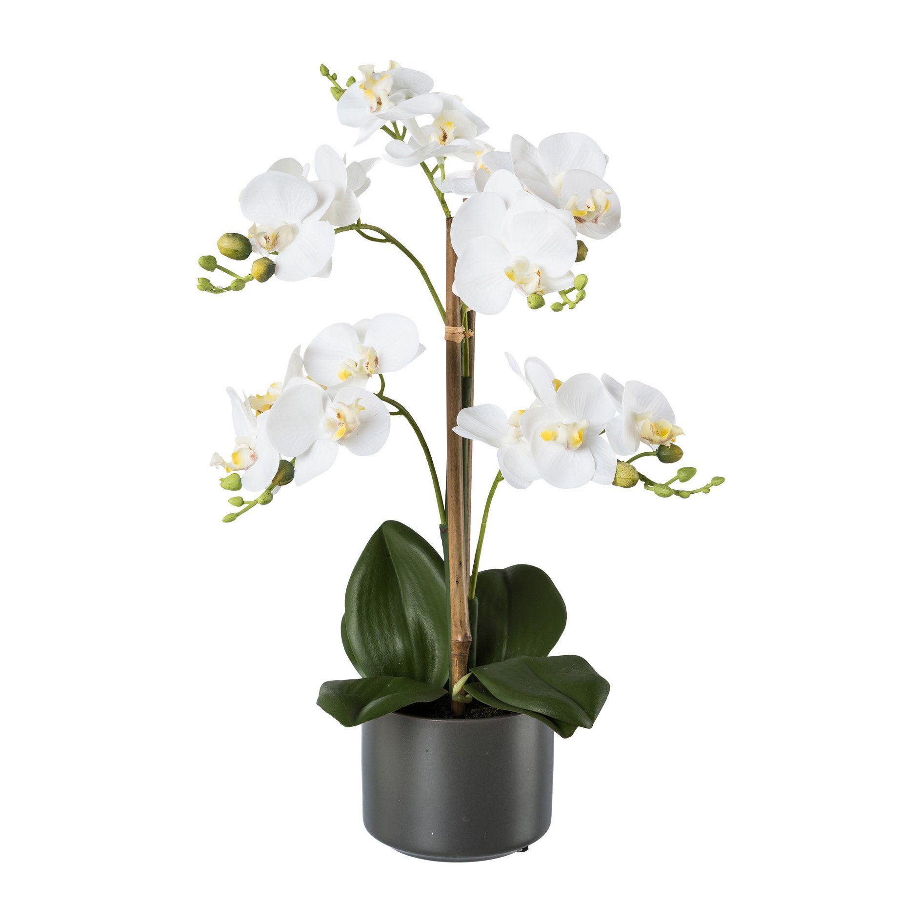 Kunstpflanze Gasper Phalenopsis im Keramiktopf 38 cm Topfpflanze weiß, Gasper, Höhe 38.00 cm