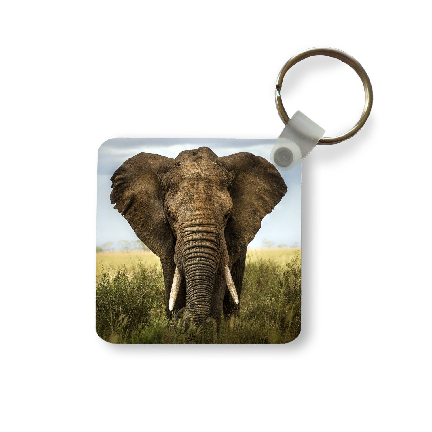 Schlüsselanhänger Elefant - Natur - Gras - Tiere - Landschaft