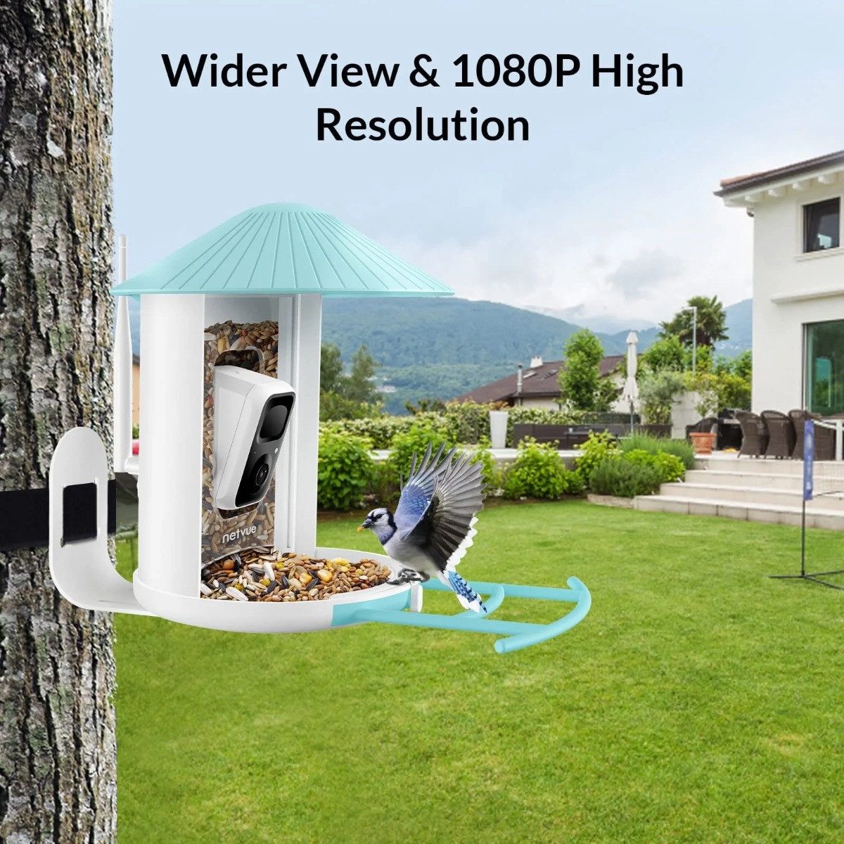 Birdfy Vogelhaus Feeder Pro, mit KI-Kamera und Solarpanel, blau