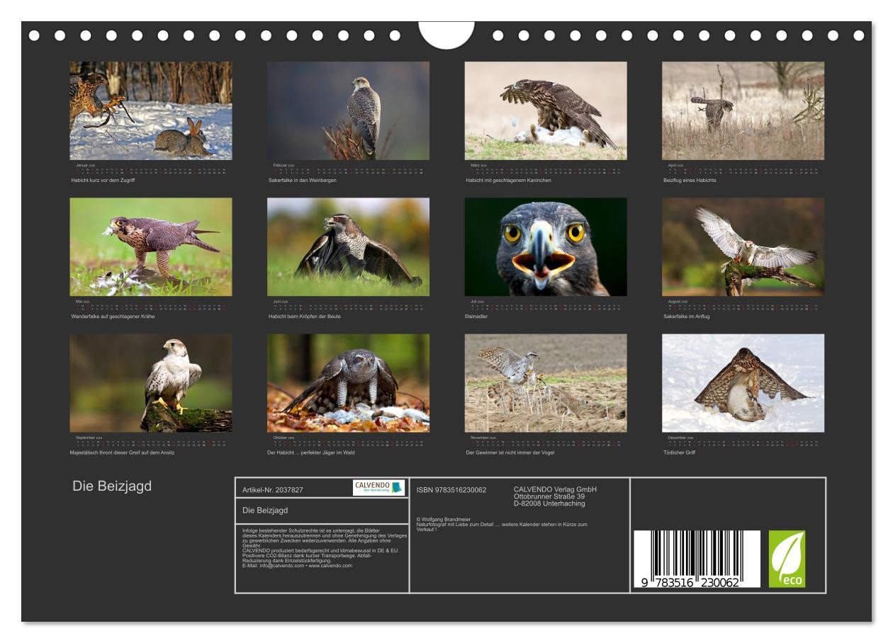 Thumbnail - CALVENDO Wandkalender Die Beizjagd (Wandkalender 2026 DIN A4 quer), CALVENDO Monatskalender