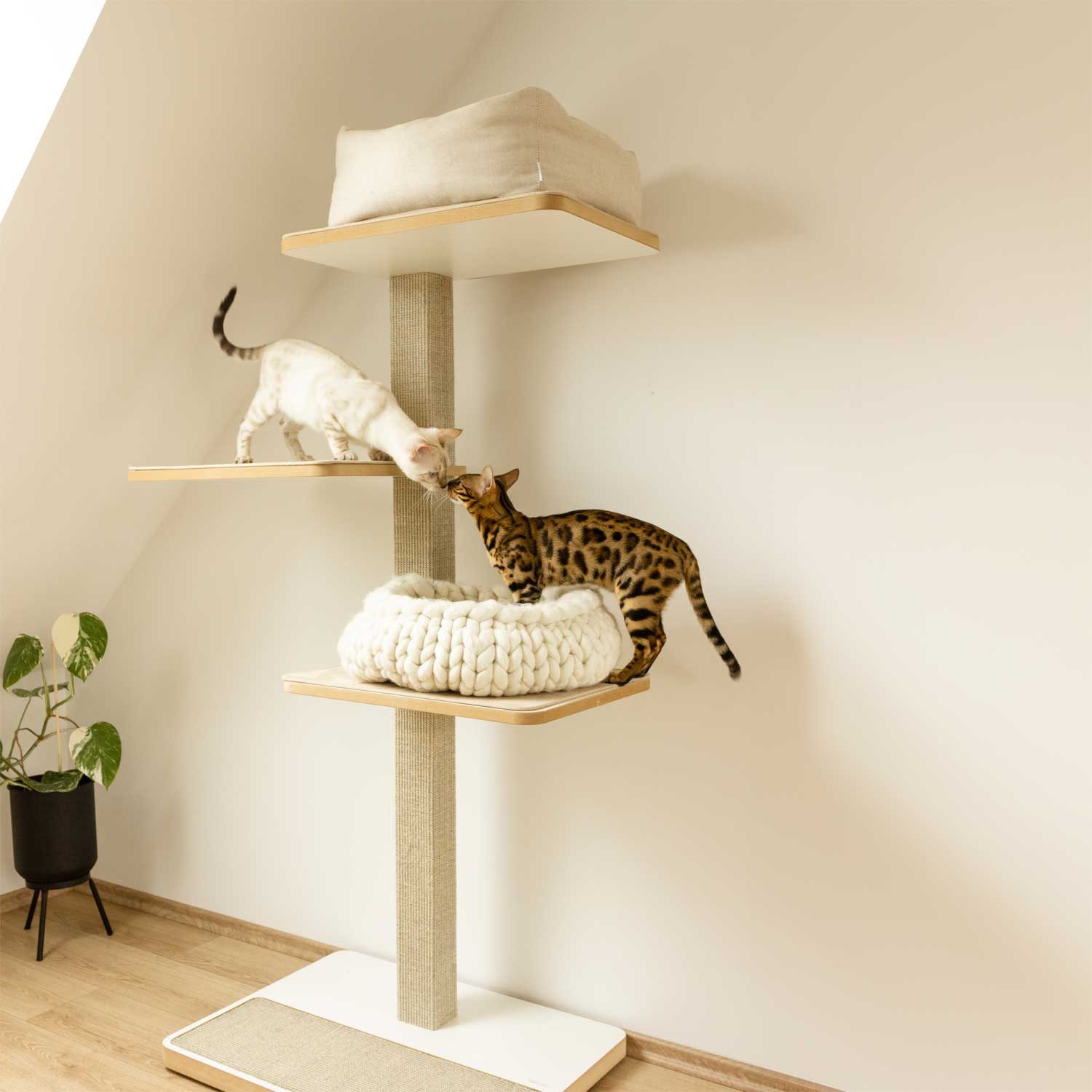 Stylecats Kratzbaum Clu 3 Liegeflächen, mit Kratzfläche