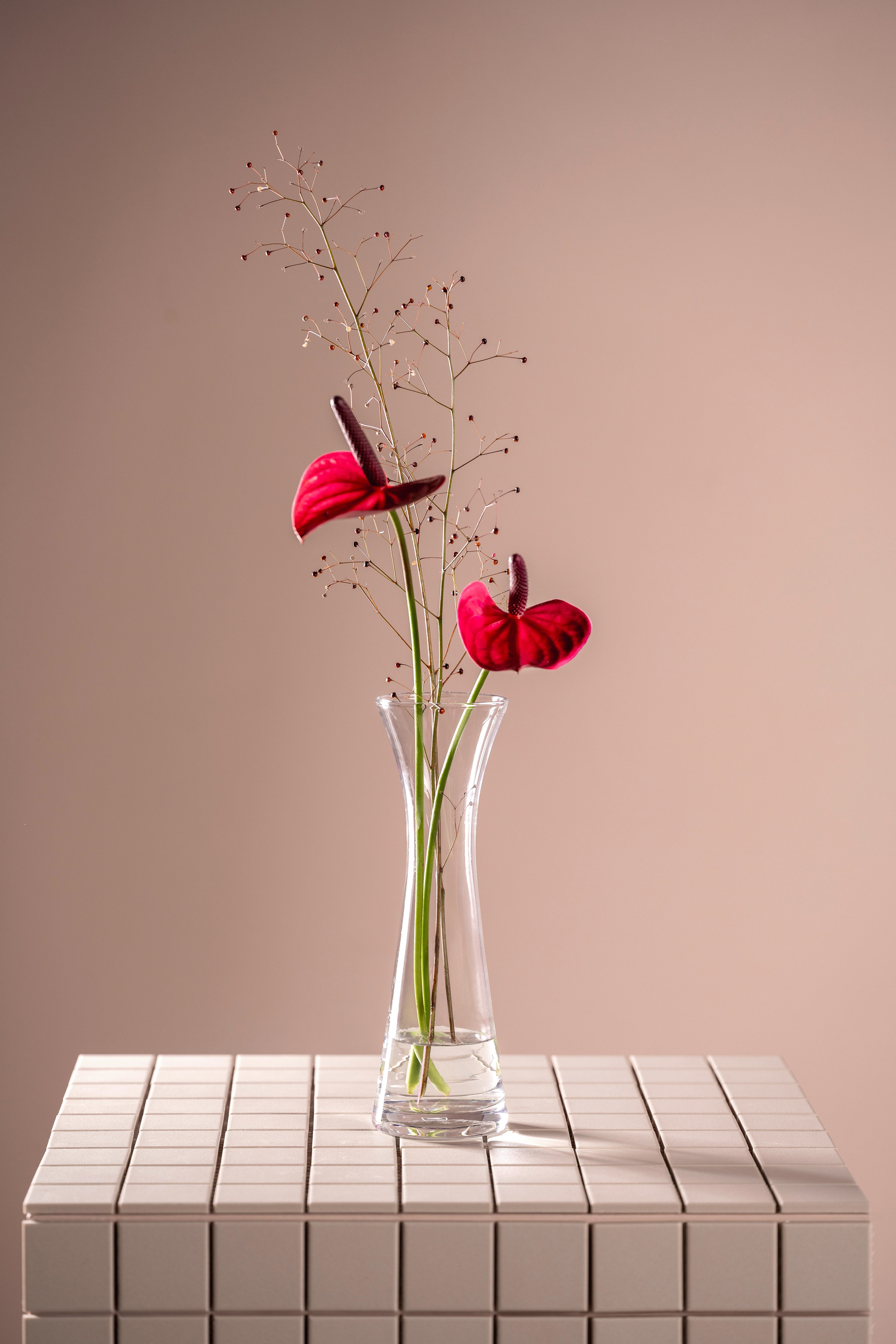 LEONARDO Dekovase GK/Solifleurvase 25 GIA (1 günstig online kaufen