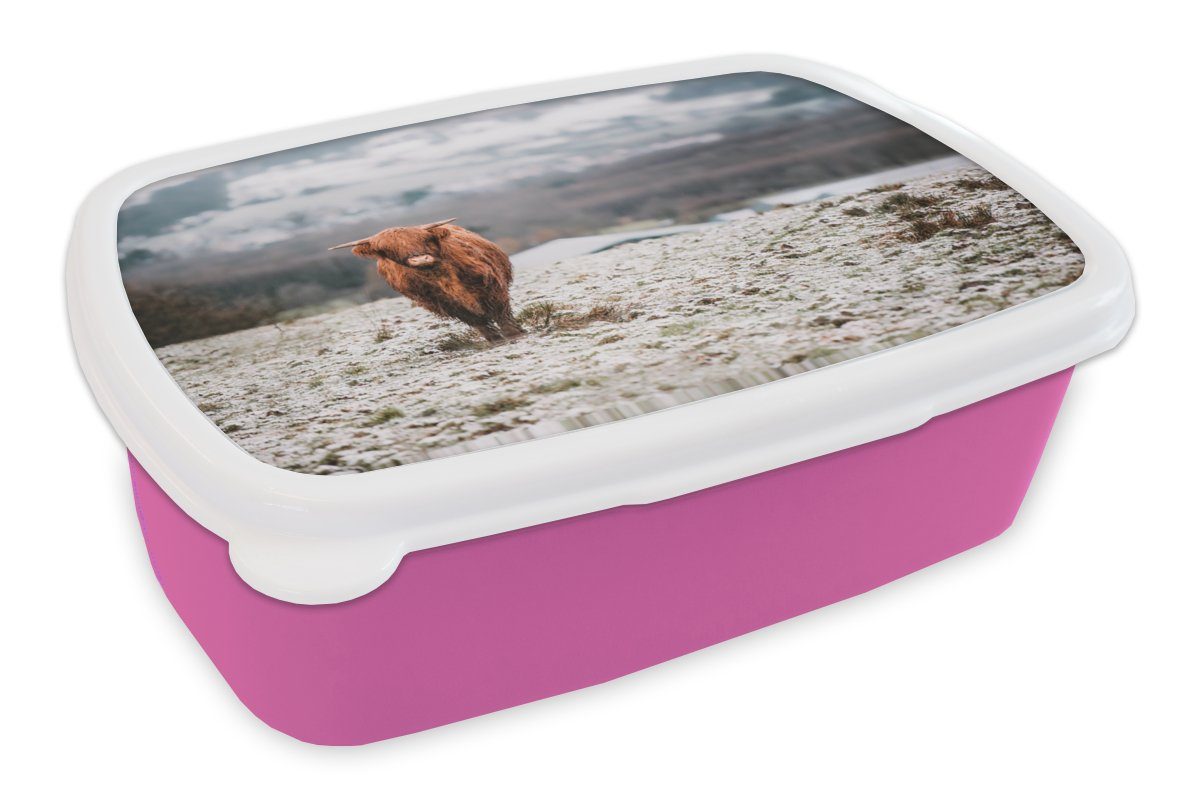 MuchoWow Lunchbox Schottischer Highlander - Schnee - Himmel, Kunststoff, (2-tlg), Brotbox für Erwachsene, Brotdose Kinder, Snackbox, Mädchen, Kunststoff rosa