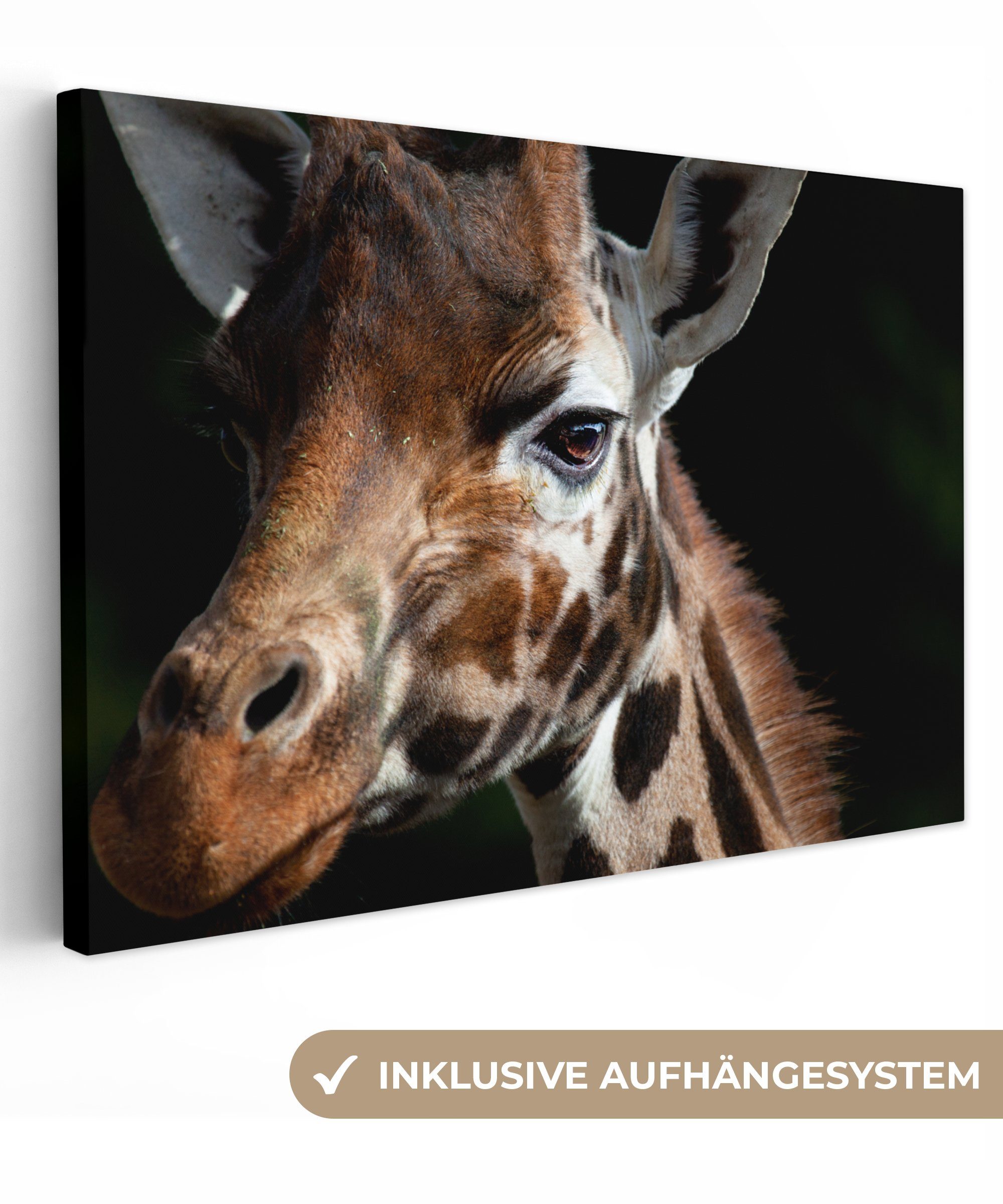OneMillionCanvasses® Leinwandbild Giraffe - Leicht - Schwarz, (1 St), Wandbild Leinwandbilder, Aufhängefertig, Wanddeko, 30x20 cm