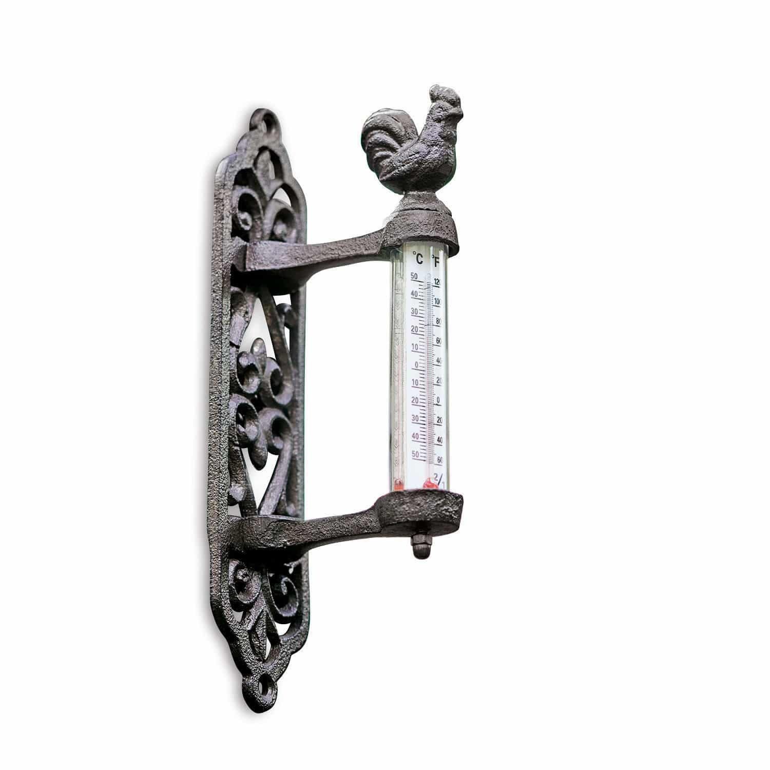 Mirabeau Gartenfigur Thermometer Seraux braun günstig online kaufen