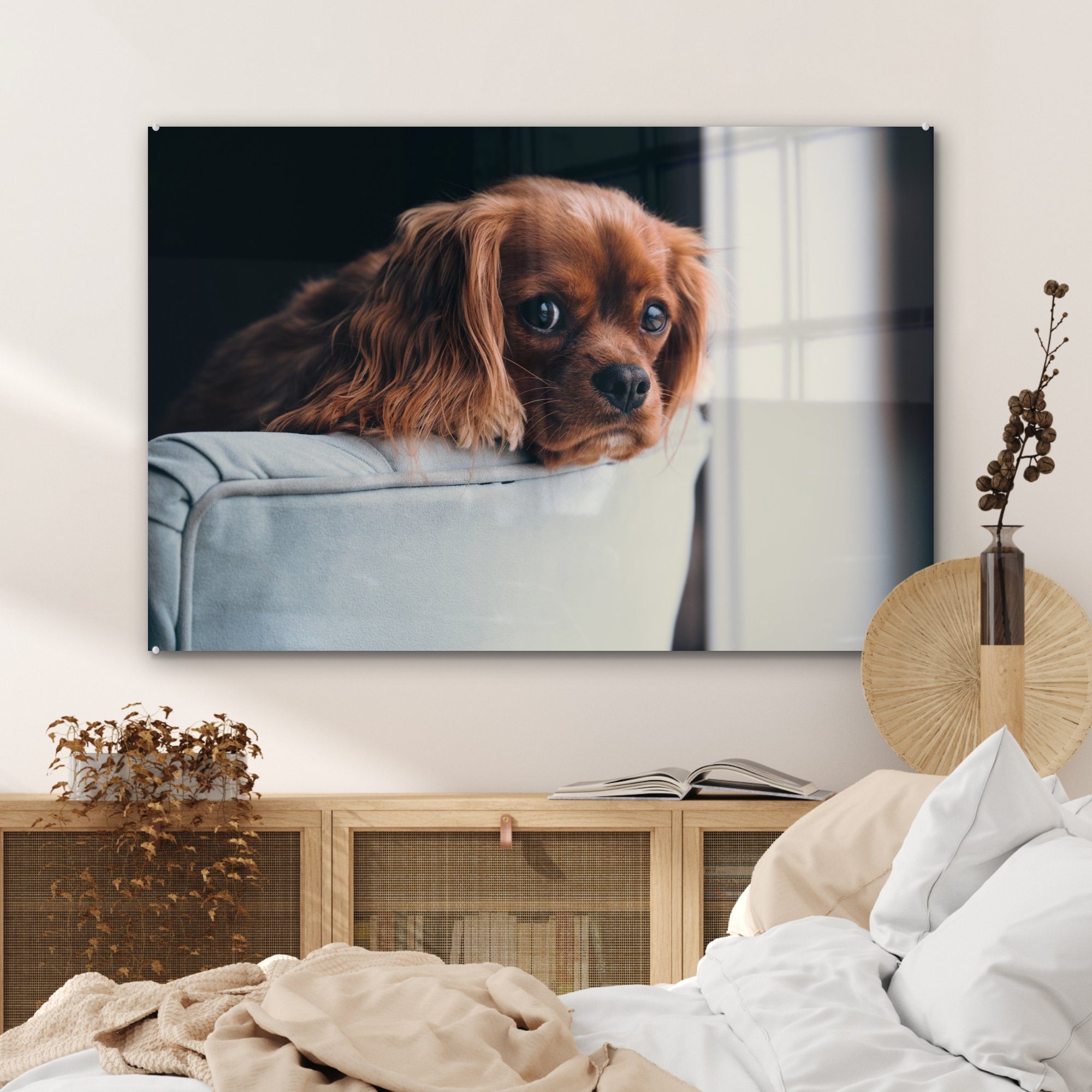 MuchoWow Wohnzimmer Schlafzimmer Acrylglasbilder Kopf, St), Acrylglasbild Hund - - Stuhl & (1