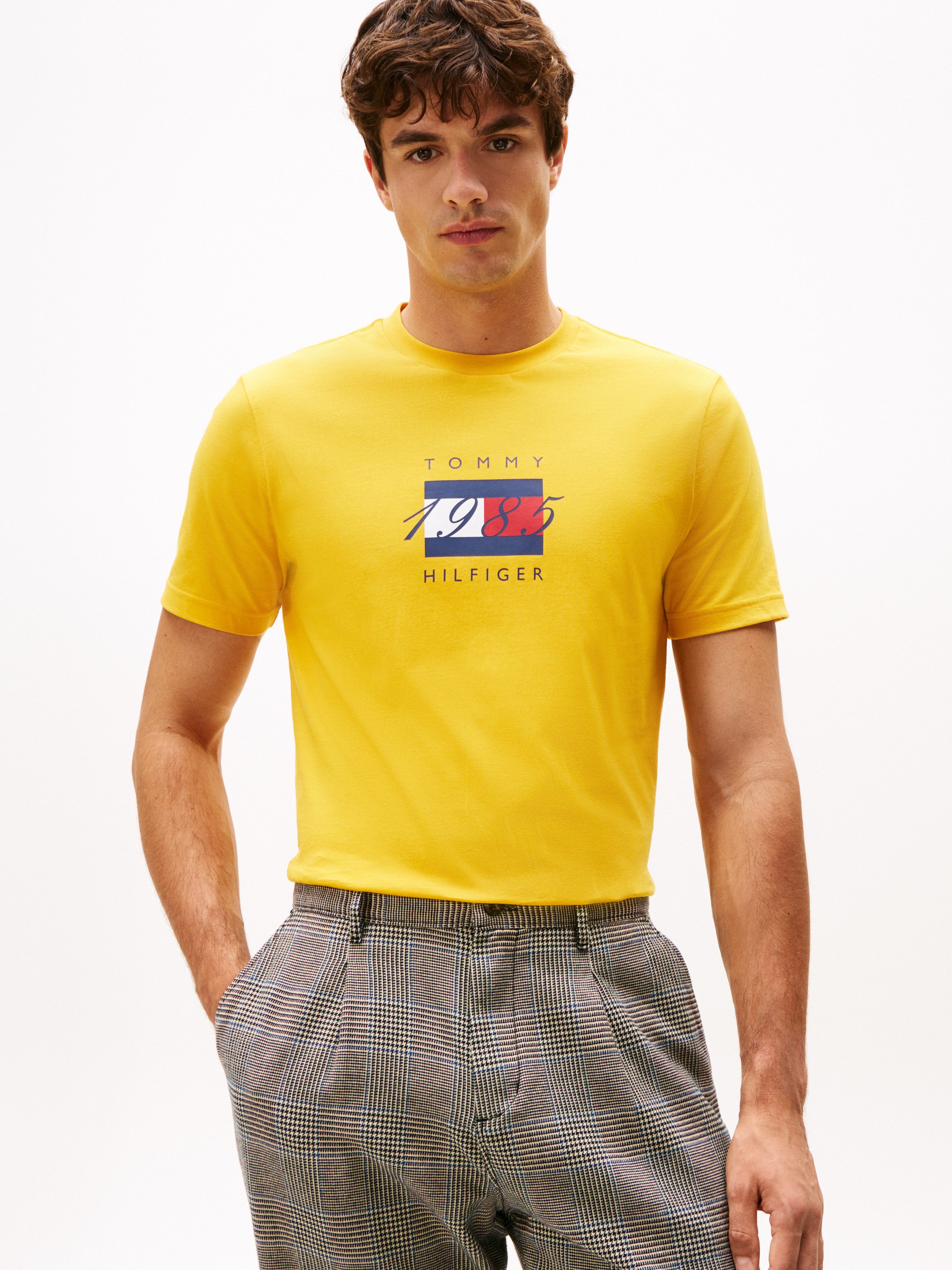 Tommy Hilfiger T-Shirt LINEAR FLAG GRAPHIC günstig online kaufen