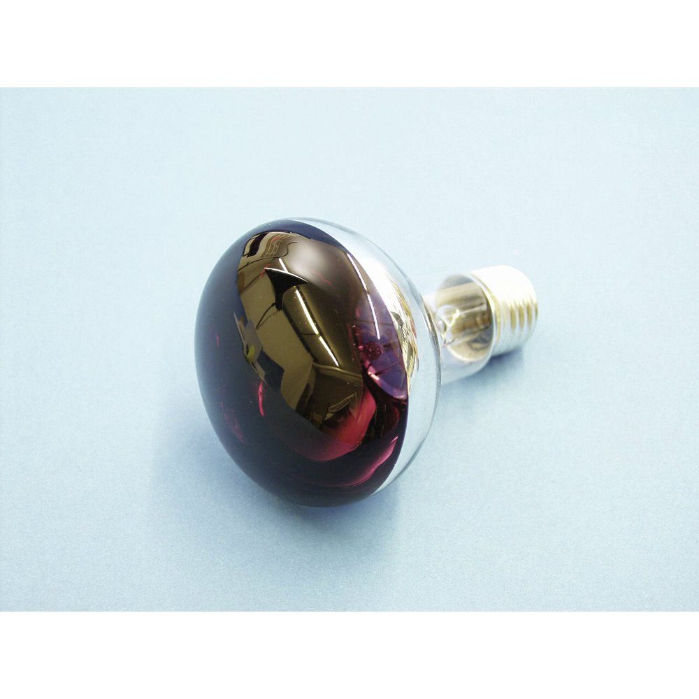EUROLITE LED-Leuchtmittel Eurolite 9210440U Glühlampe E27 Reflektor 60 W Violett (x L) 80 mm