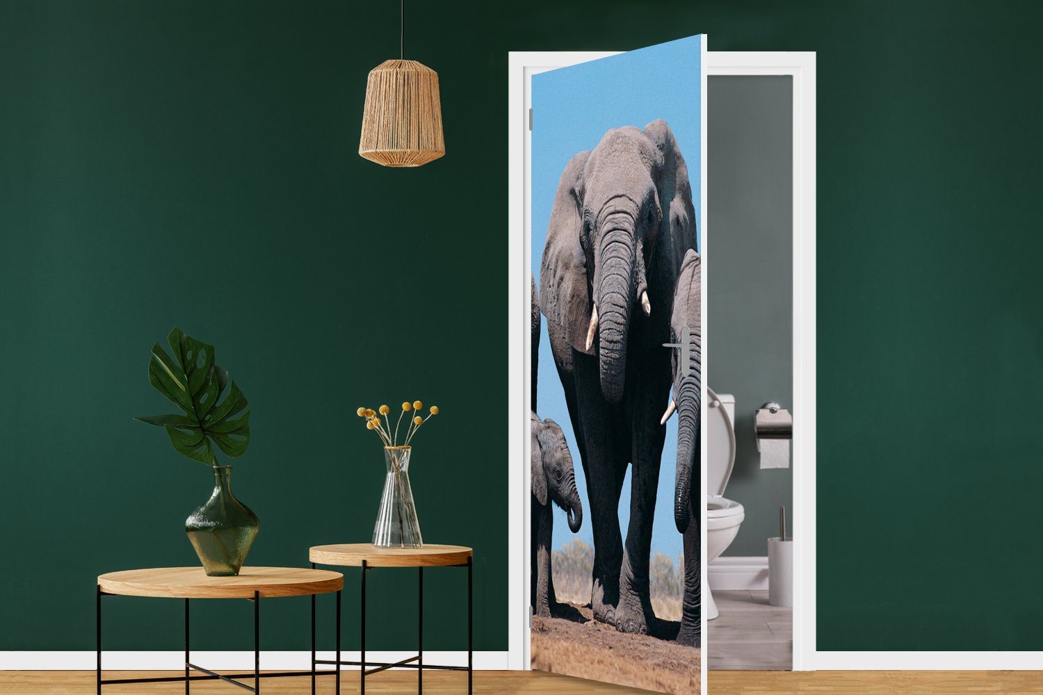 Tür, 75x205 Türtapete (1 Natur, - Elefant Tiere Fototapete cm Matt, Türaufkleber, bedruckt, Prärie MuchoWow St), - - für