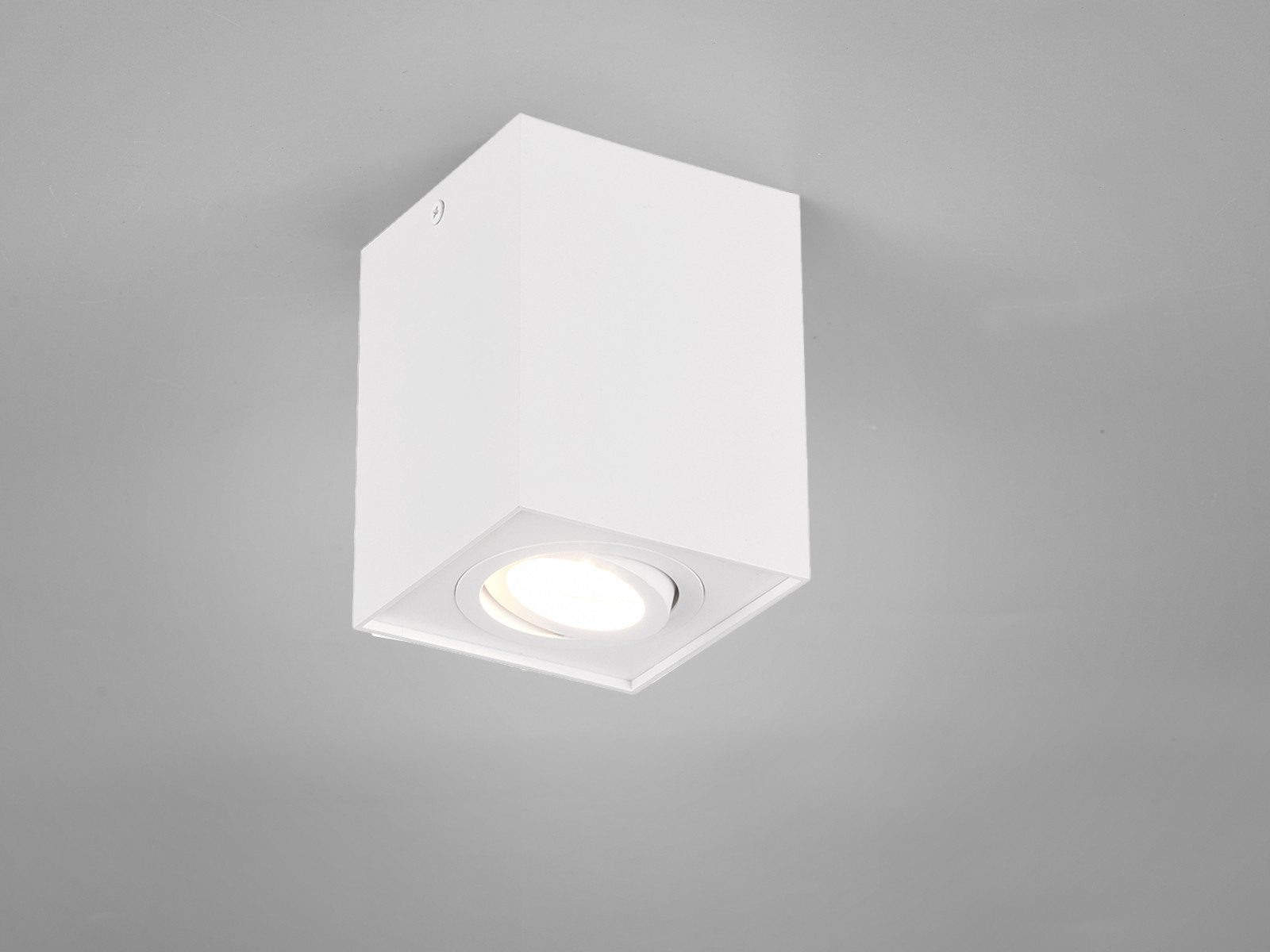 TRIO Leuchten LED Deckenstrahler, Dimmfunktion, LED günstig online kaufen