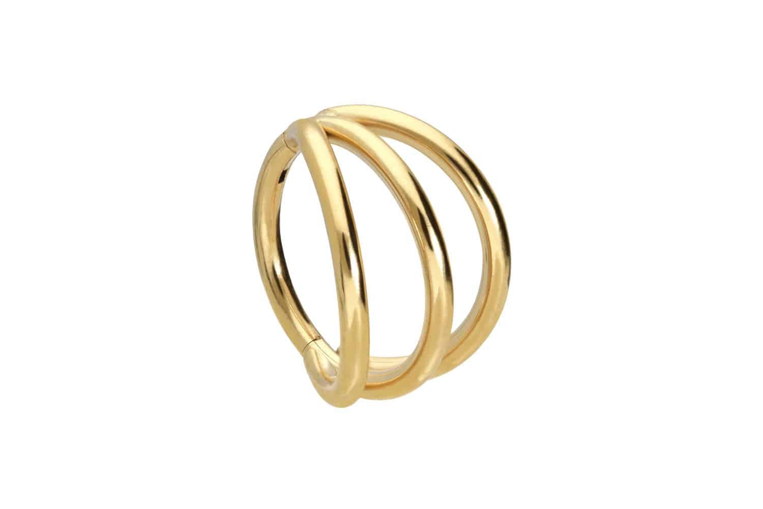 Nasenpiercing Titan Segmentring Clicker 3 RINGE Ohrpiercing Septum Nase