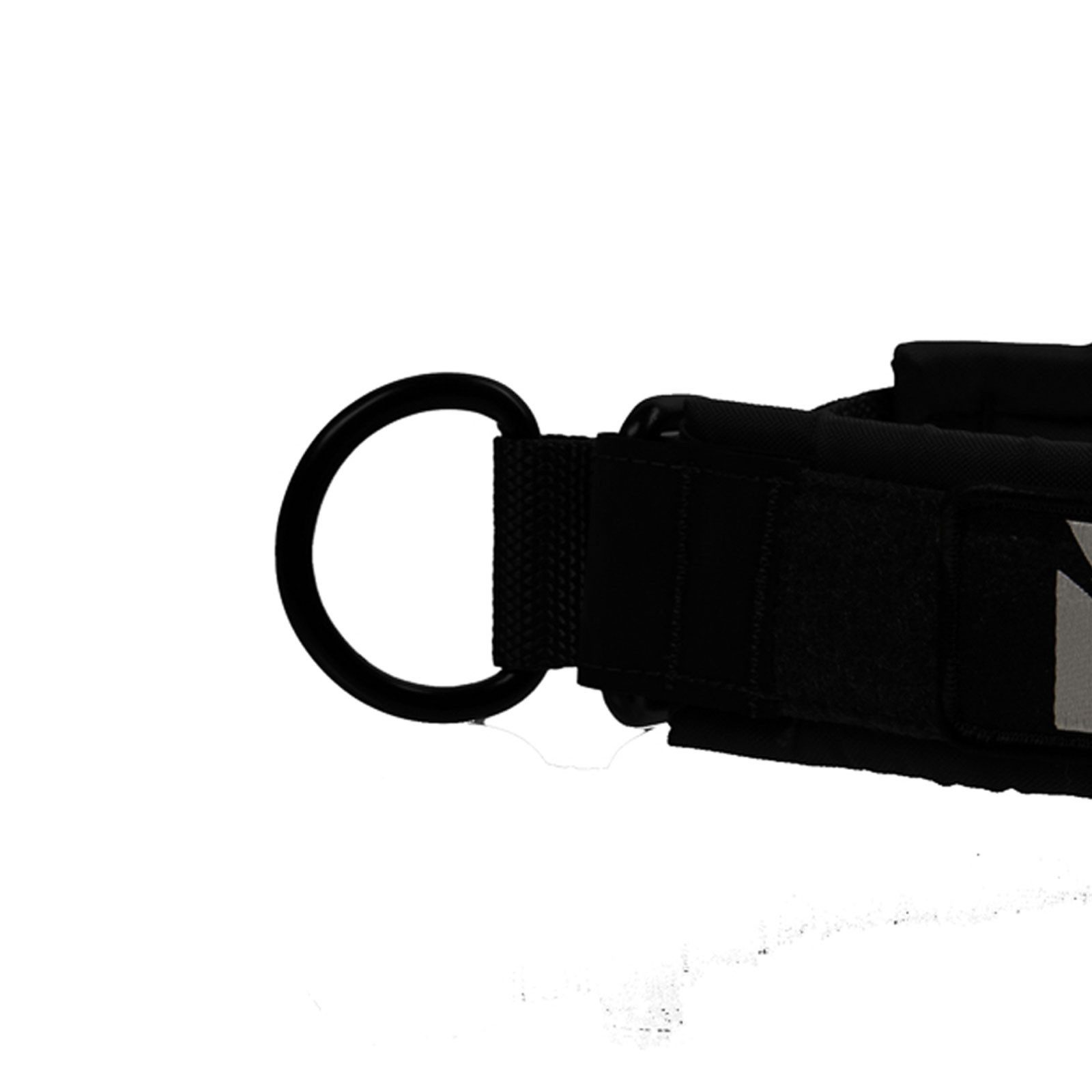 Non-stop dogwear Hunde-Halsband Solid collar WD black, Nylon, Die Working Dog Serie - für Mallocher-Hunde!