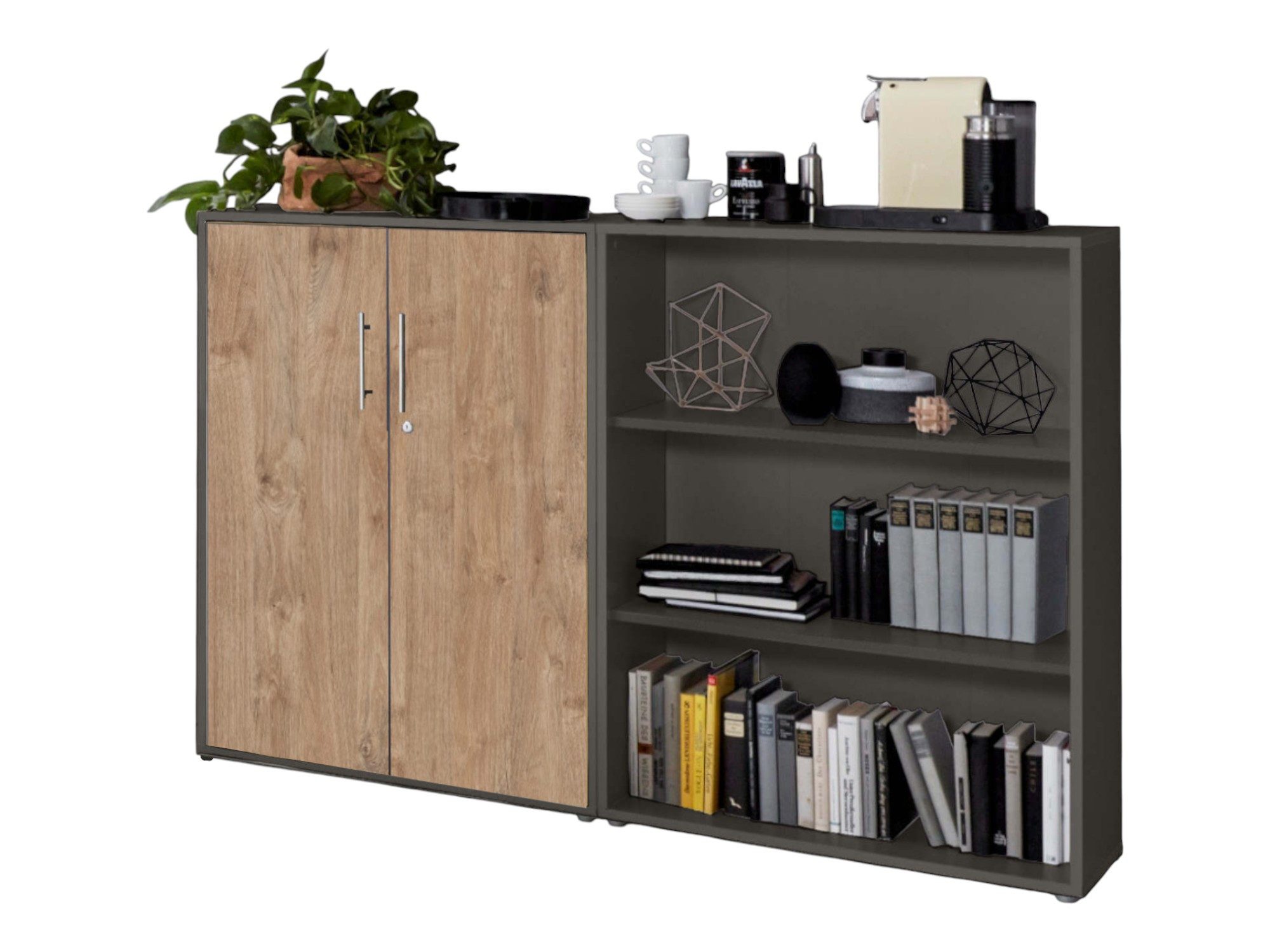 Anthrazit, Gold Harbor Oak