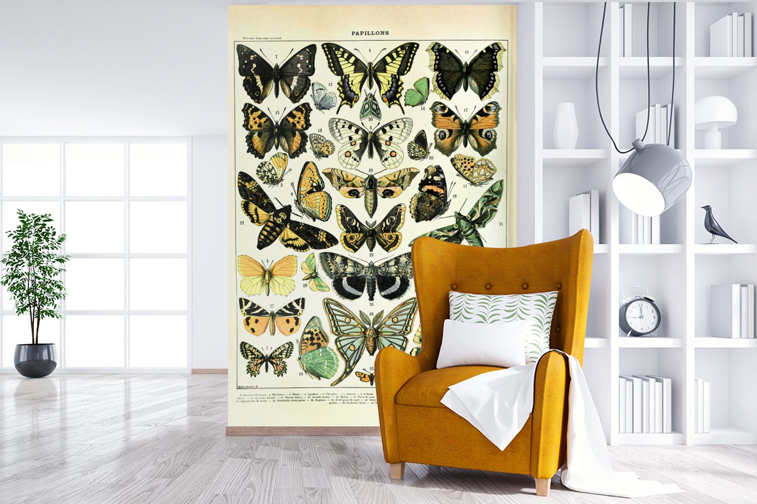 Tiere - Matt, Wandtapete Fototapete Tapete (3 - Vinyl Schmetterling MuchoWow Wohnzimmer, für bedruckt, St), Montagefertig Insekten,