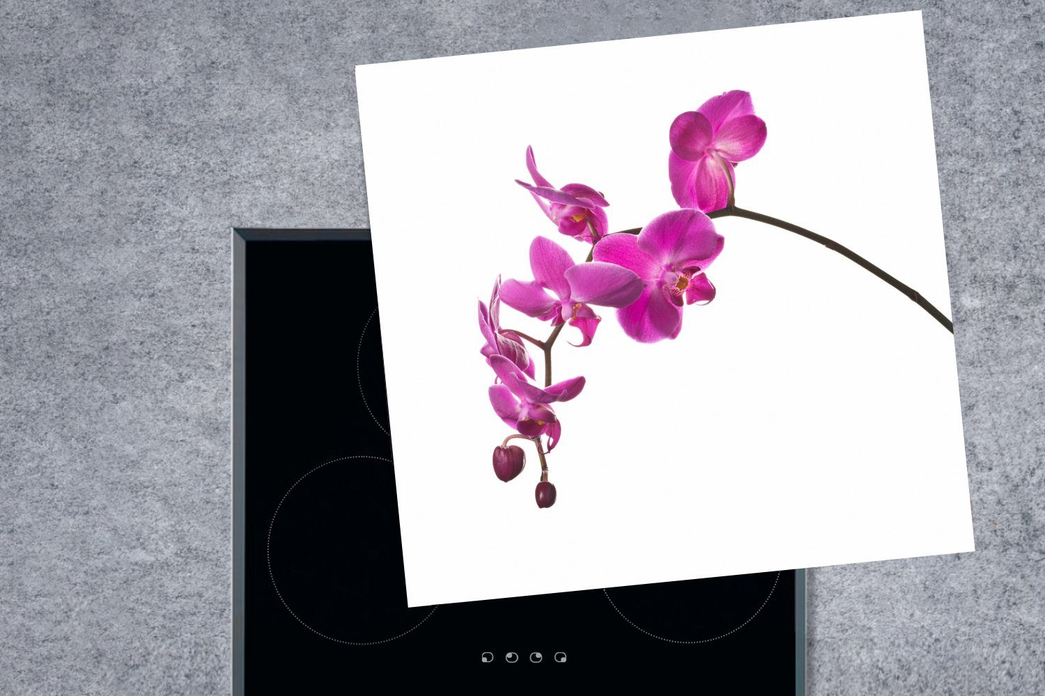 MuchoWow Herdblende-/Abdeckplatte Orchidee vor Vinyl, (1 78x78 cm, küche Arbeitsplatte für Hintergrund, weißem tlg), Ceranfeldabdeckung