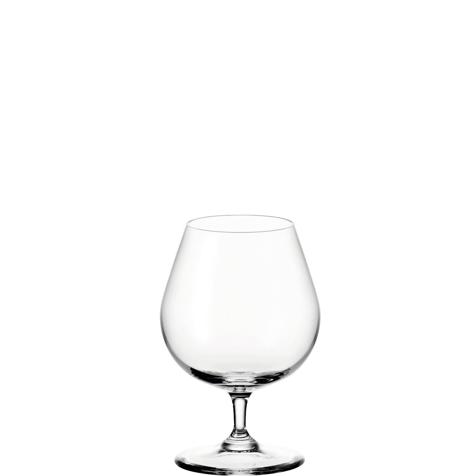 LEONARDO Schnapsglas Cognac Glas 6er-Set Ciao+, 6-tlg., Glas, stoßfest, klangvoll, gastronomiegeeignet