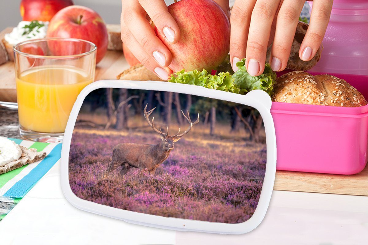Kunststoff (2-tlg), Hirsche Lunchbox Kunststoff, Erwachsene, - Brotdose Snackbox, rosa Mädchen, Blumen Kinder, Niederlande, - Brotbox MuchoWow für