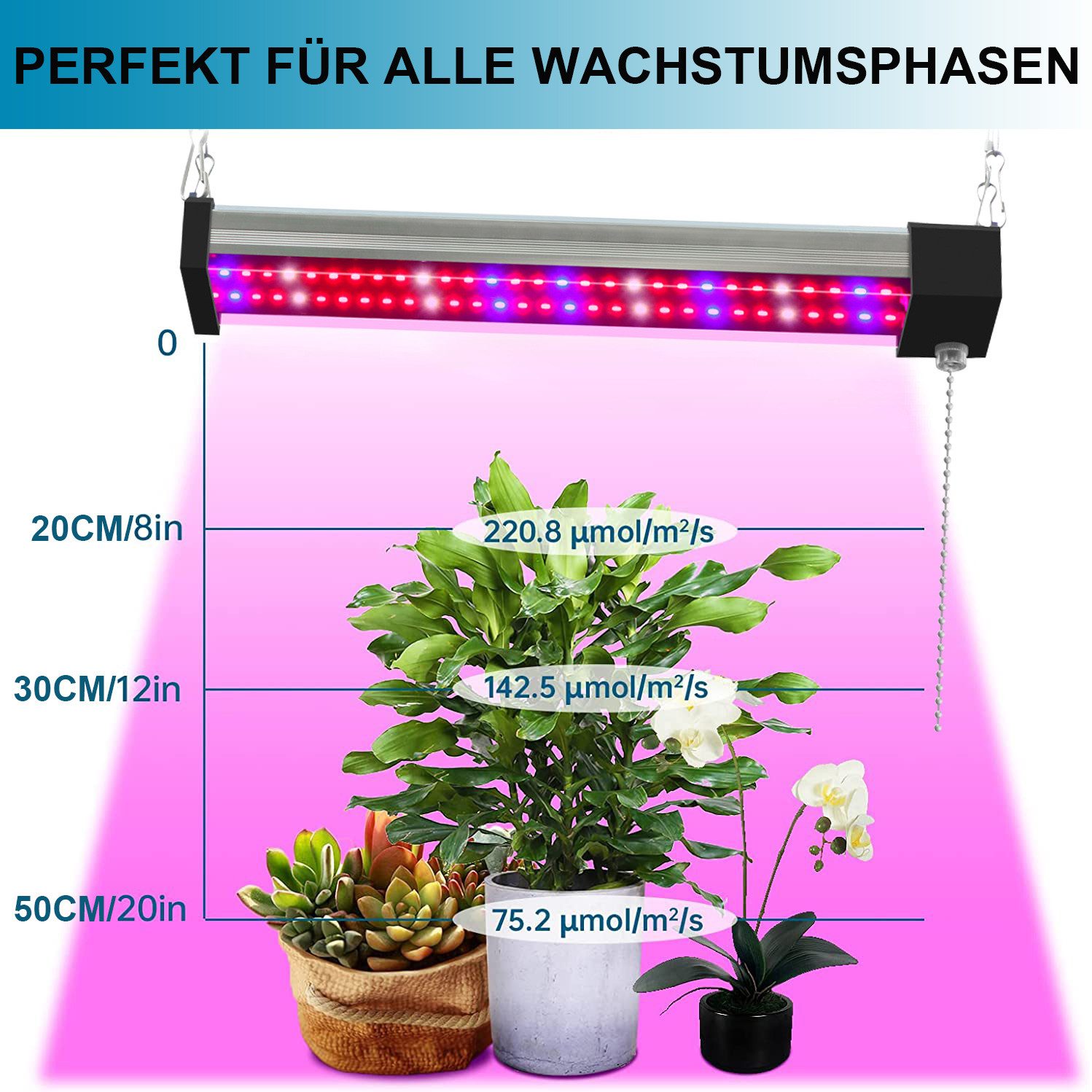 Rosnek Pflanzenlampe Vollspektrum LED mit Pull-Chain & End-to-End Erweiterung, LED fest integriert, für Winter & kalte Tage, Indoor Wachstum für Veg, Blüte & Früchte