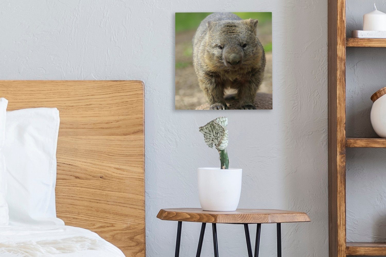 Bilder einer auf Ein Wombat Strandbank, Leinwandbild St), (1 OneMillionCanvasses® Schlafzimmer Leinwand für Wohnzimmer
