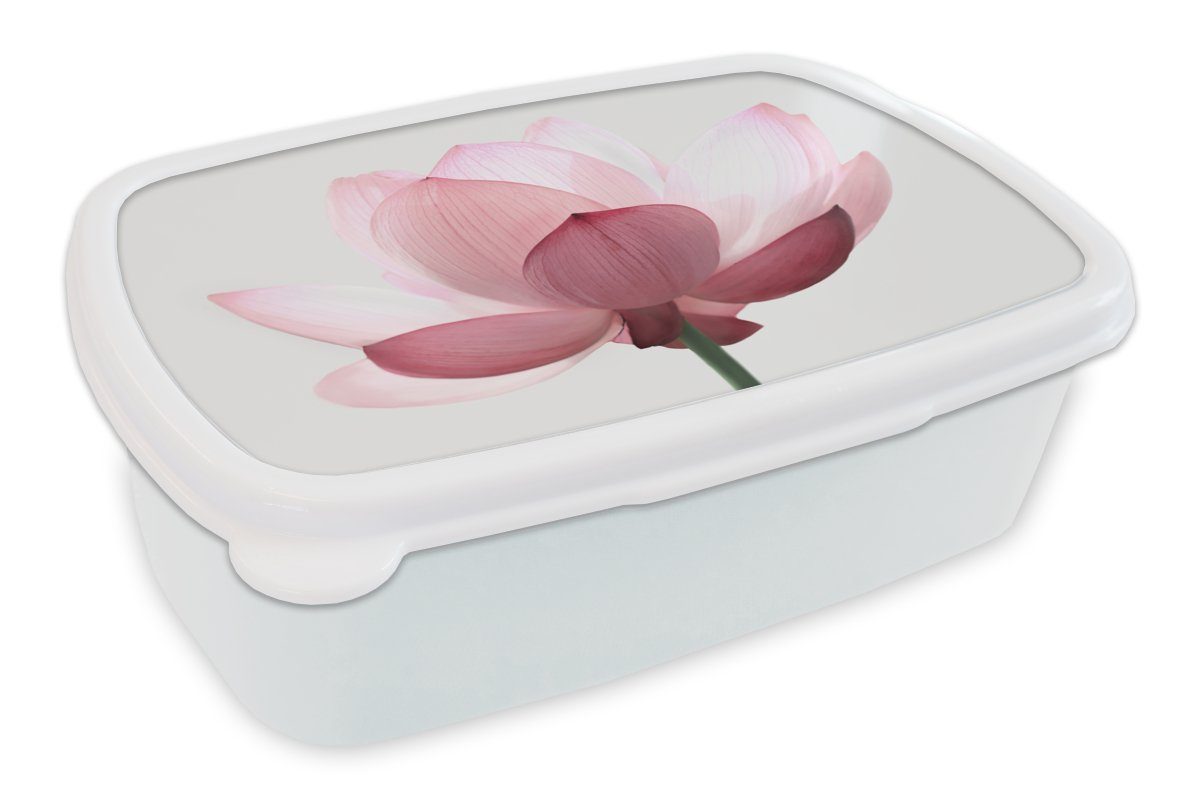 MuchoWow Lunchbox Blumen - Rosa - Natur - Botanisch, Kunststoff, (2-tlg), Brotbox für Kinder und Erwachsene, Brotdose, für Jungs und Mädchen weiß