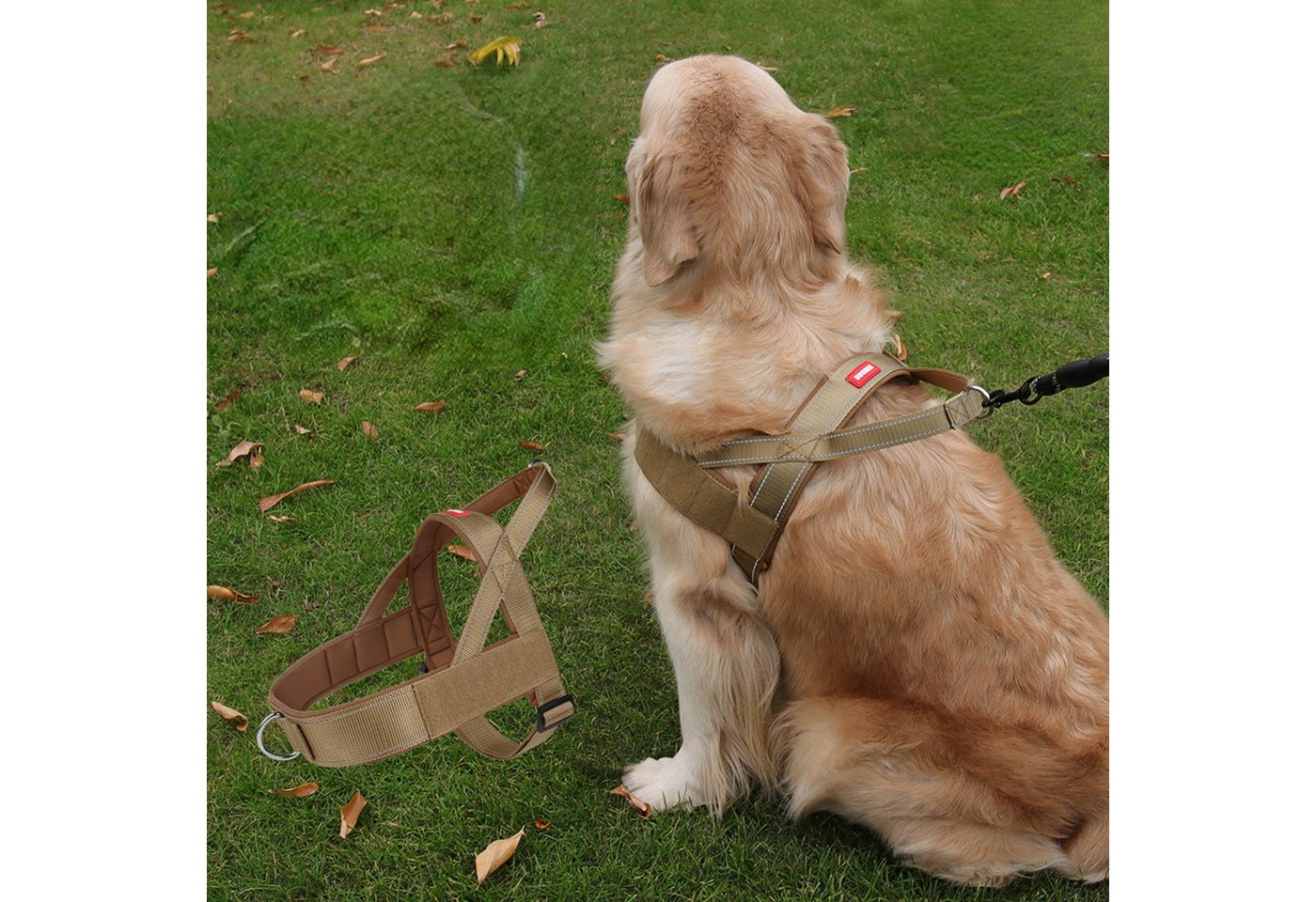 Thumbnail - BYSURE Hunde-Geschirr, Nylon, Step-in Brustgeschirr mit Leine