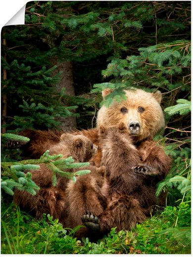 Artland Wandbild »Bären beim Spielen IV«, Wildtiere (1 Stück), in