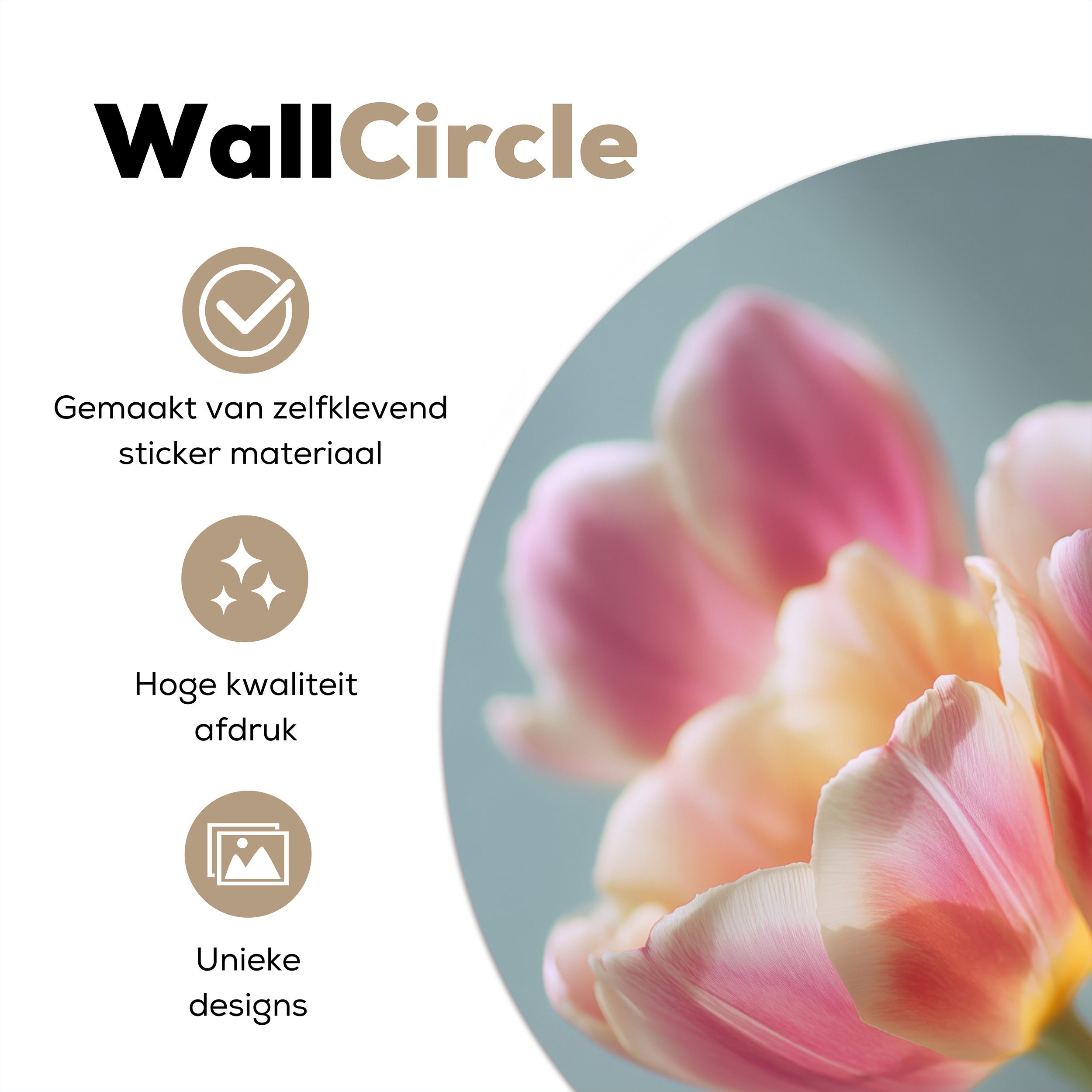 MuchoWow Wandsticker Tulpen - Rosa - Stiele (1 St), Tapetensticker Selbstklebend, Wandbild Wohnzimmer, 80x80 cm