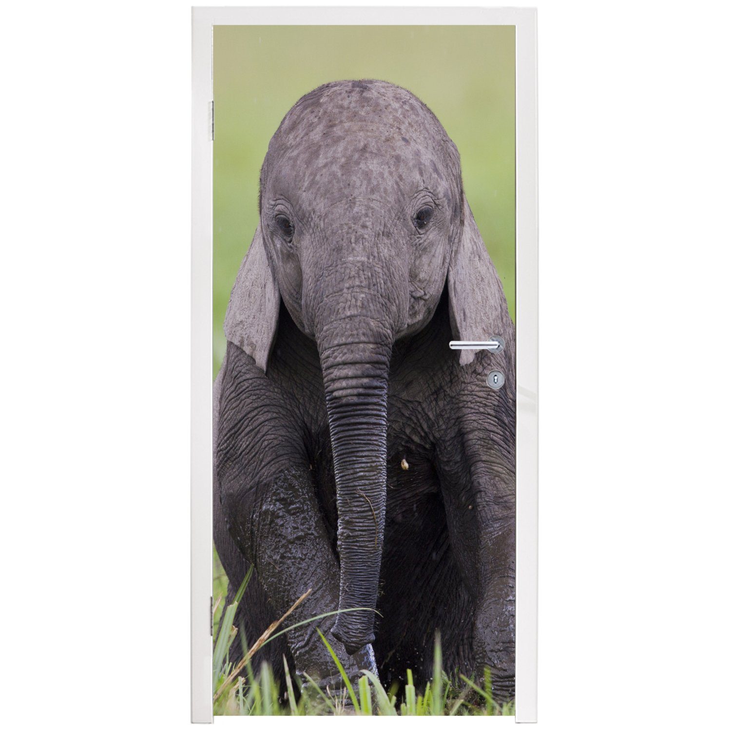 Natur, bedruckt, Matt, - Baby Tür, (1 - Türaufkleber, cm MuchoWow Gras Elefant Tiere - - Türtapete St), 75x205 für Fototapete