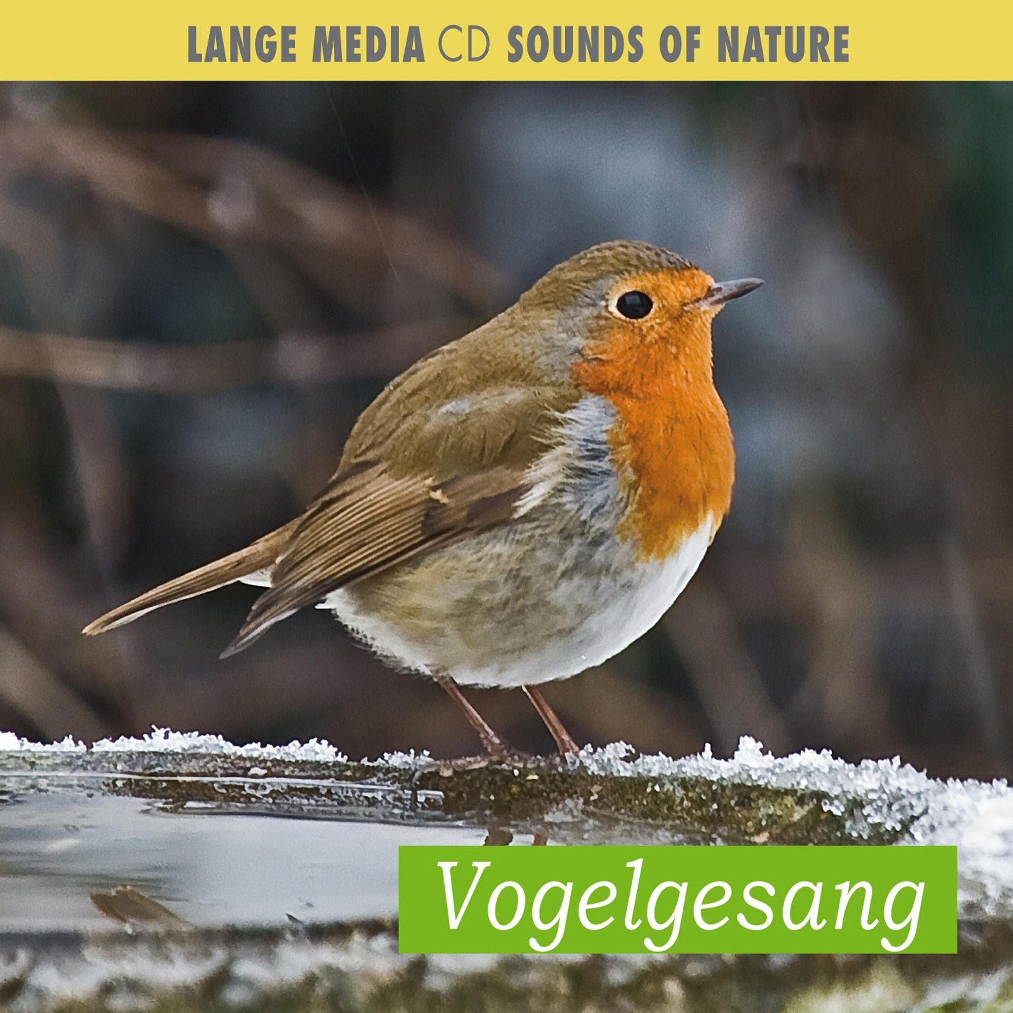 Lange Hörspiel-CD Vogelgesang, 1 Audio-CD