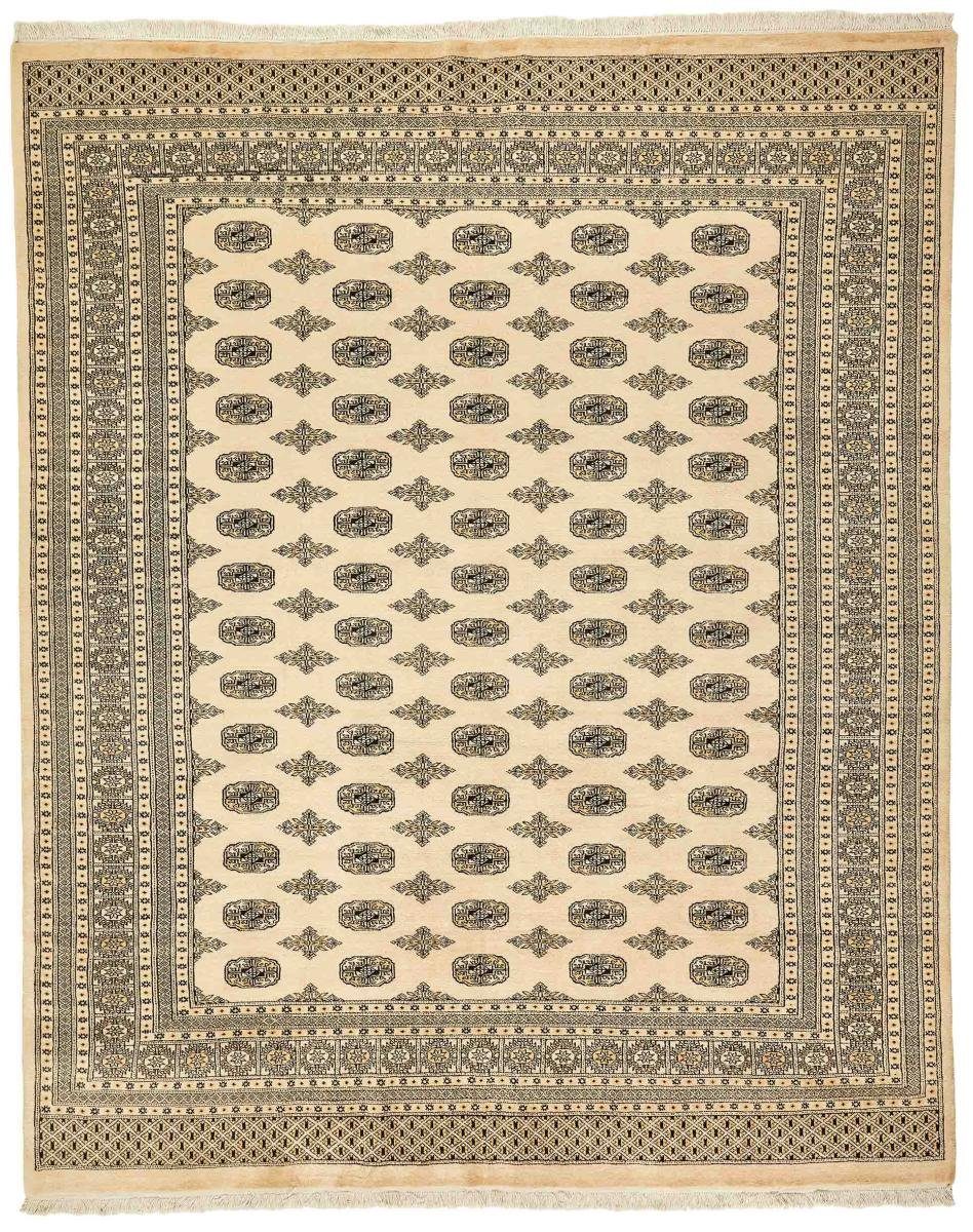 Orientteppich Pakistan Buchara 2ply 244x302 Handgeknüpfter Orientteppich, Nain Trading, rechteckig, Höhe: 8 mm