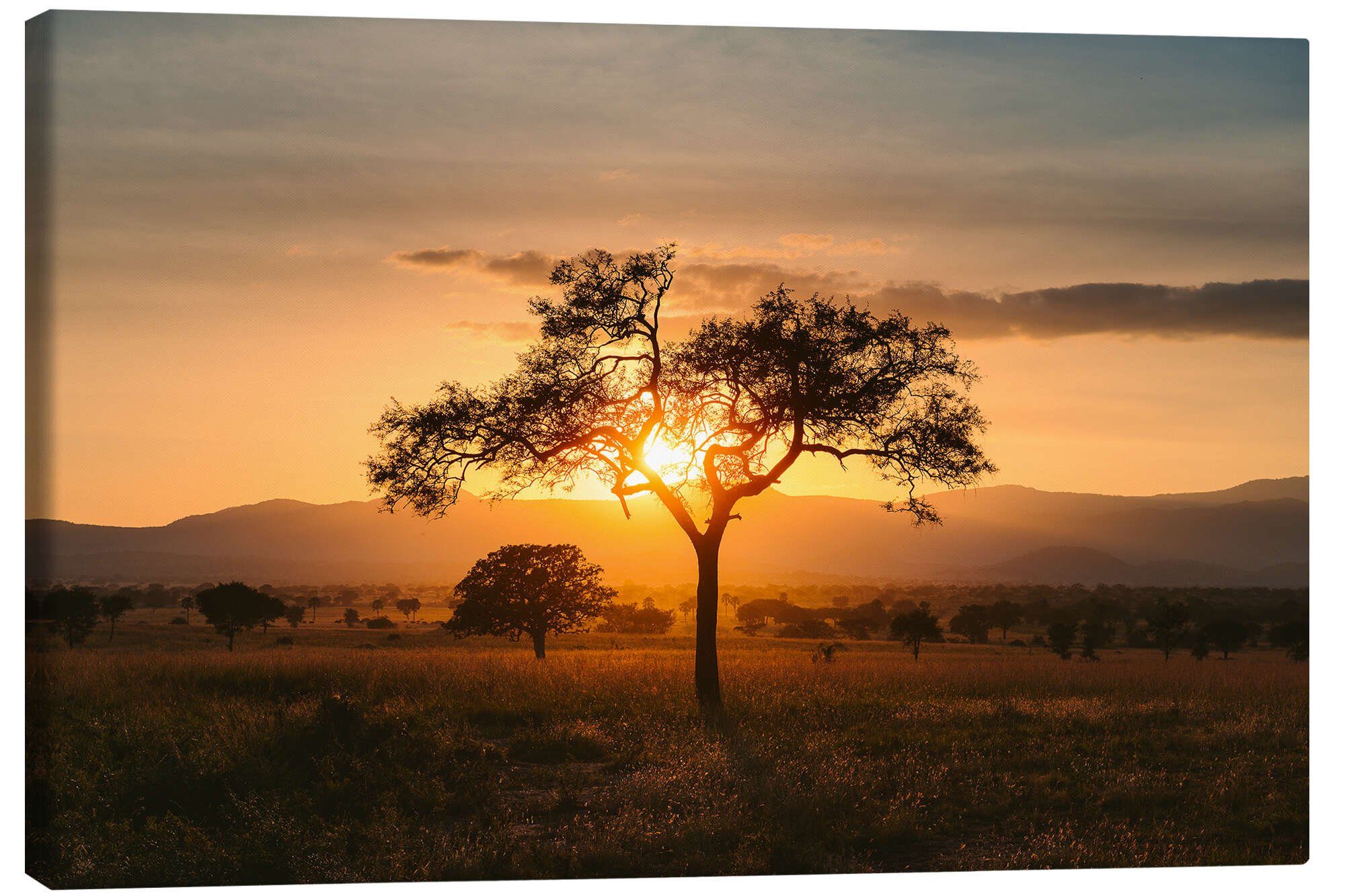 Posterlounge Wandbild Sonnenuntergang in der Savanne des Kidepo Valley, Uganda, Marcel Gross, erhältlich als Poster, Leinwandbild, Wandsticker oder Acrylglasbild