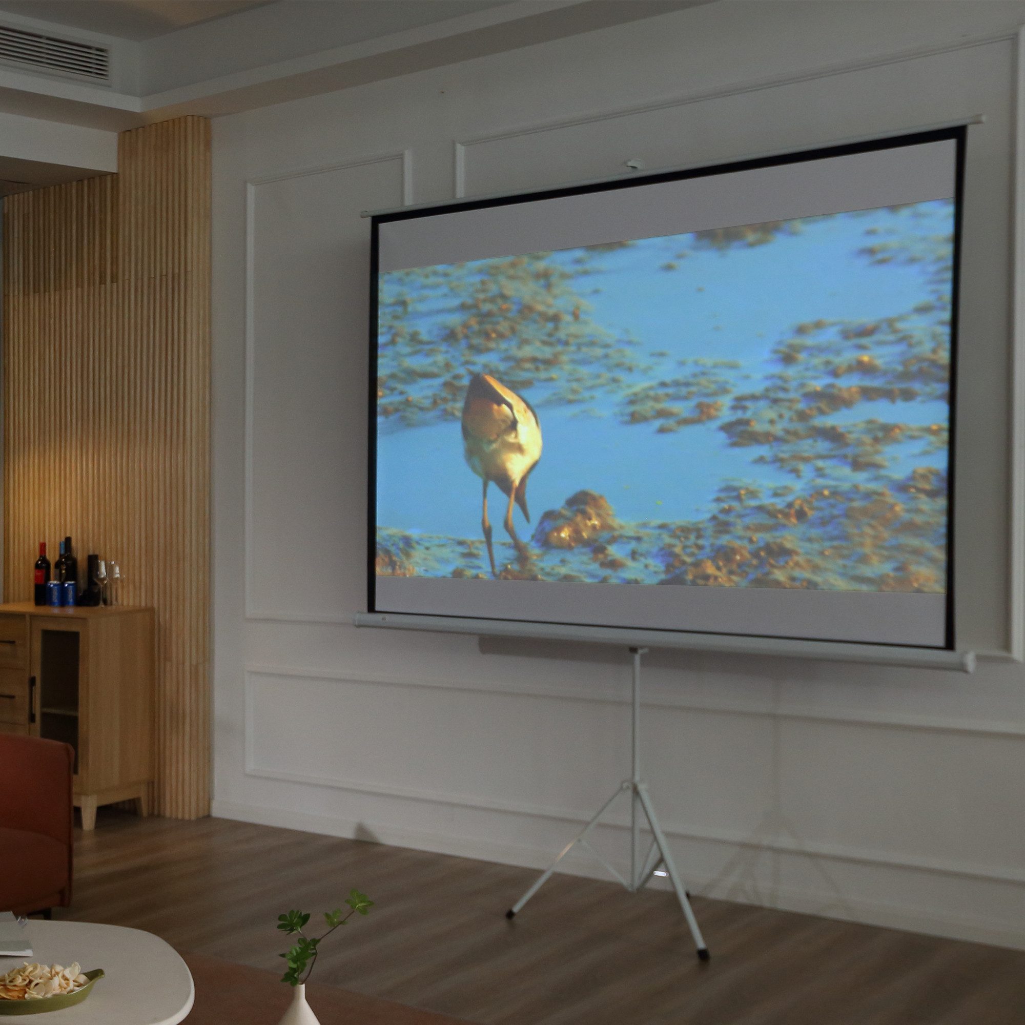HOMCOM Leinwand Beamer Projektor mit Stativ