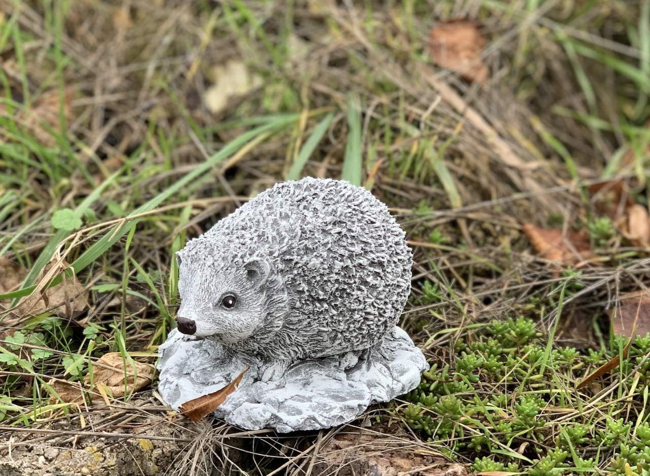 Stone and Style Gartenfigur Frostfeste Steinfigur kleiner Igel Little Ferdi – Bild 2 von 5