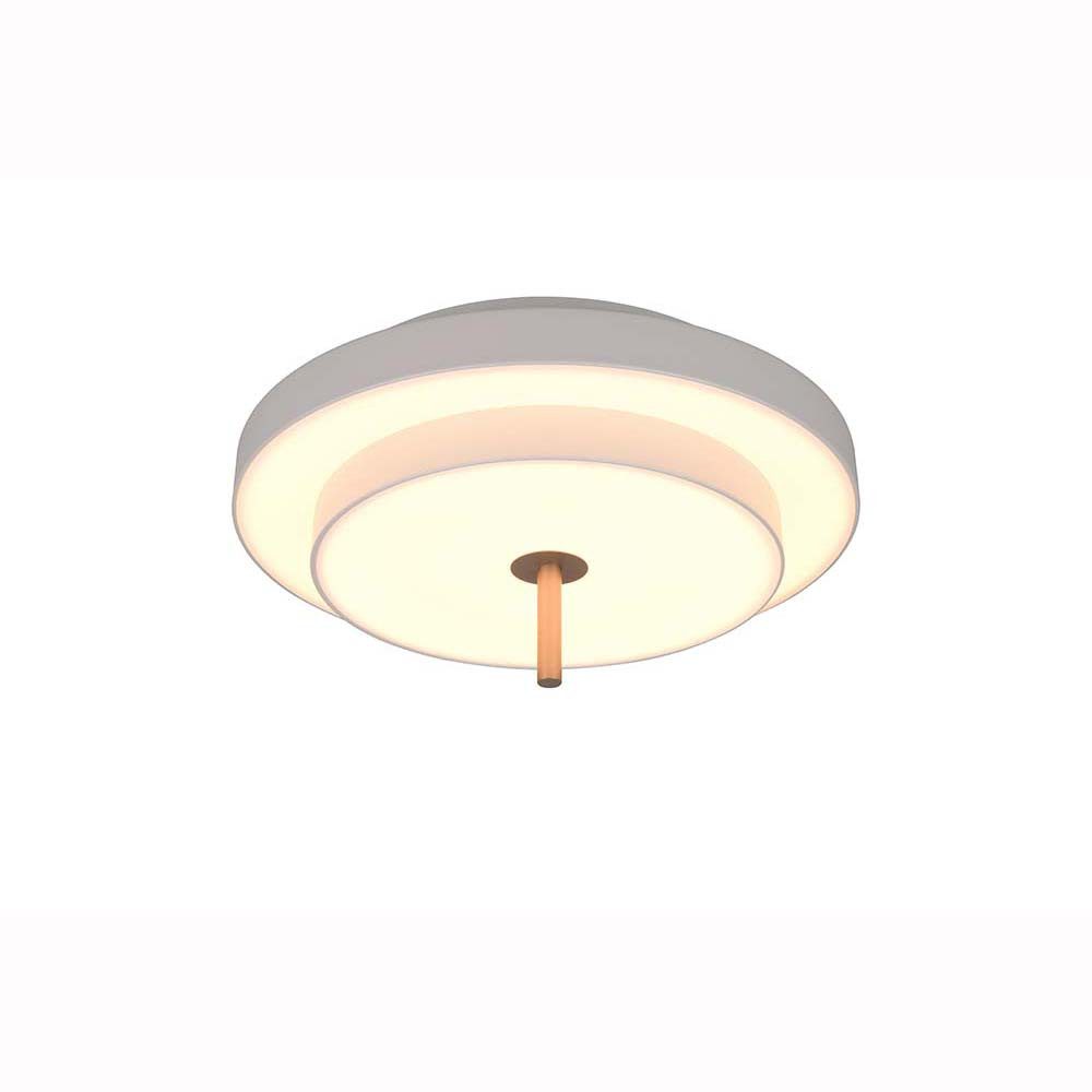 TRIO Leuchten LED Deckenleuchte, LED-Leuchtmittel fest verbaut, Kaltweiß, Warmweiß, Neutralweiß, Tageslichtweiß, Farbwechsel, LED Deckenleuchte Deckenlampe Wohnzimmerlampe warm grey Switch