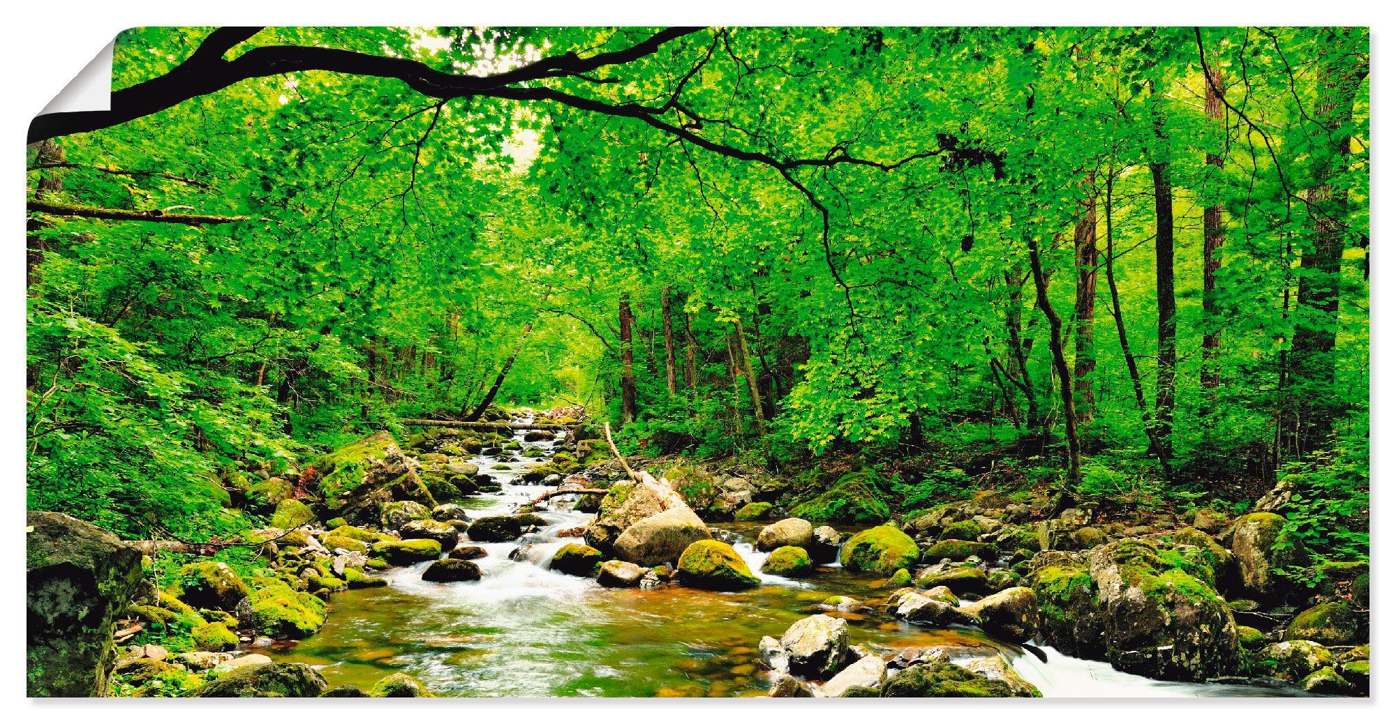 Artland Wandbild Herbstwald Fluss Smolny, Wald (1 St), als Alubild, Leinwandbild, Wandaufkleber oder Poster in versch. Größen