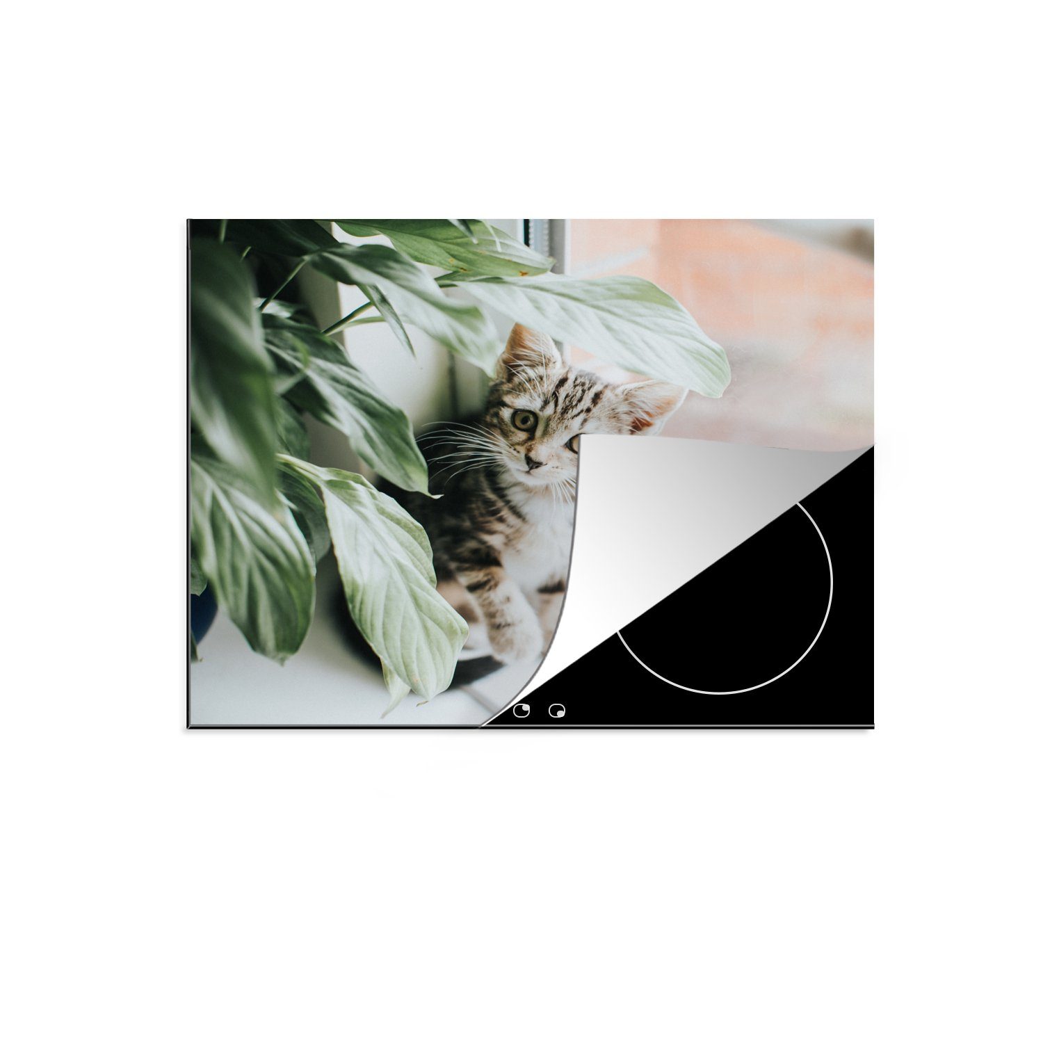 Katze - Pflanzen, tlg), Ceranfeldabdeckung Arbeitsfläche 60x52 Mobile MuchoWow nutzbar, Kätzchen - (1 Herdblende-/Abdeckplatte cm, Vinyl,