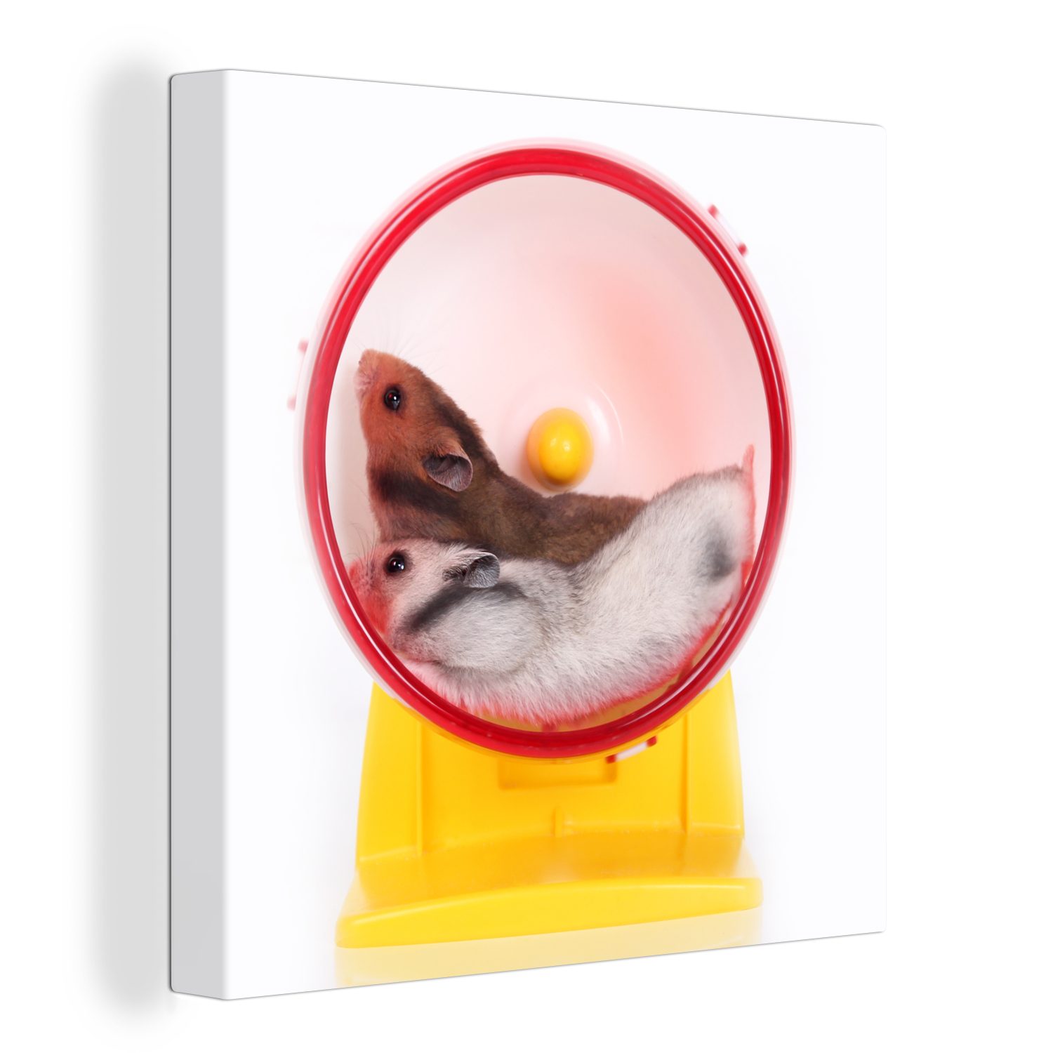 OneMillionCanvasses® Leinwandbild Hamster im Laufrad, (1 St), Leinwand Bilder für Wohnzimmer Schlafzimmer | Leinwandbilder