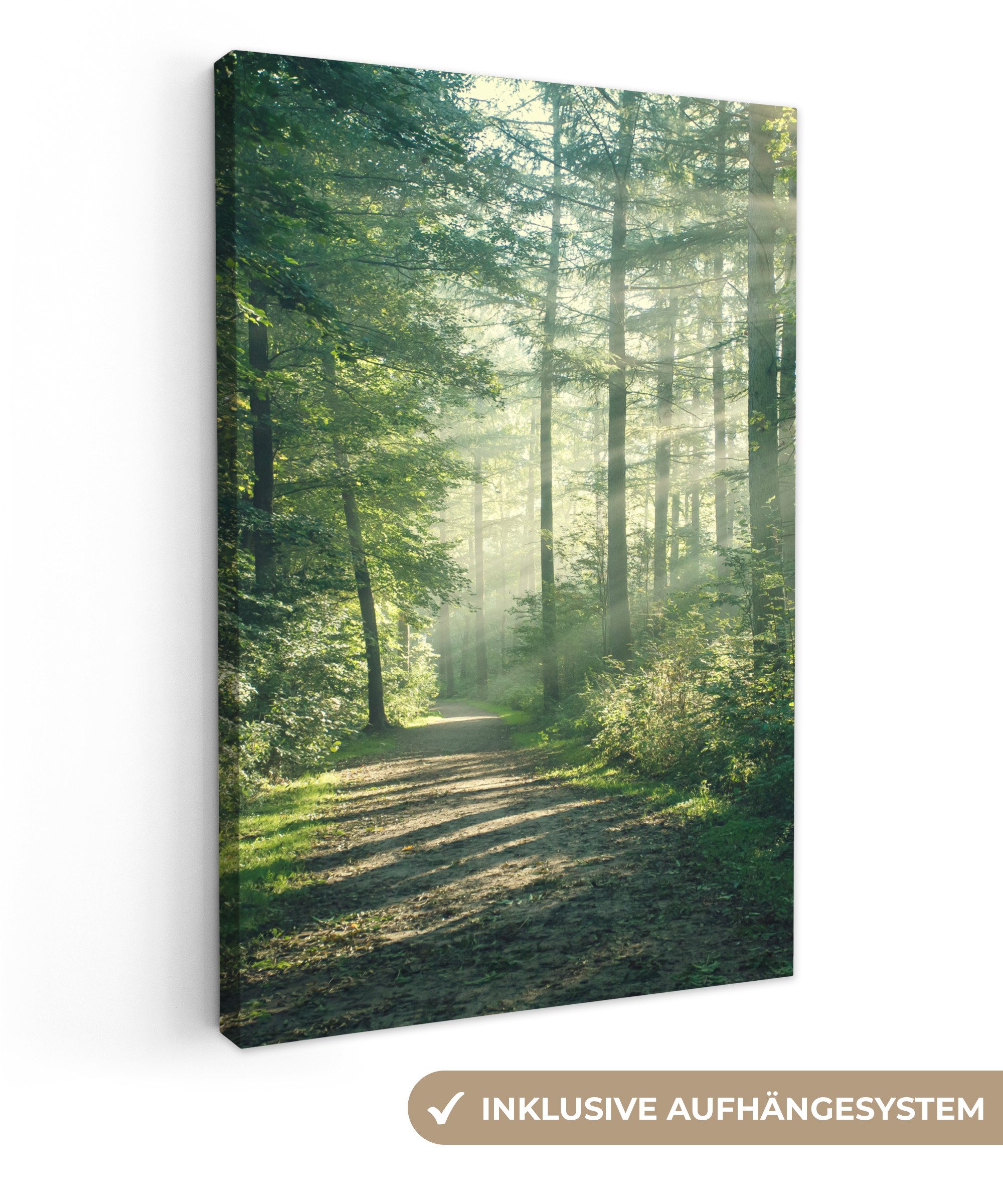 OneMillionCanvasses® Leinwandbild Wald - Weg - Sonne - Bäume - Grün - Natur günstig online kaufen