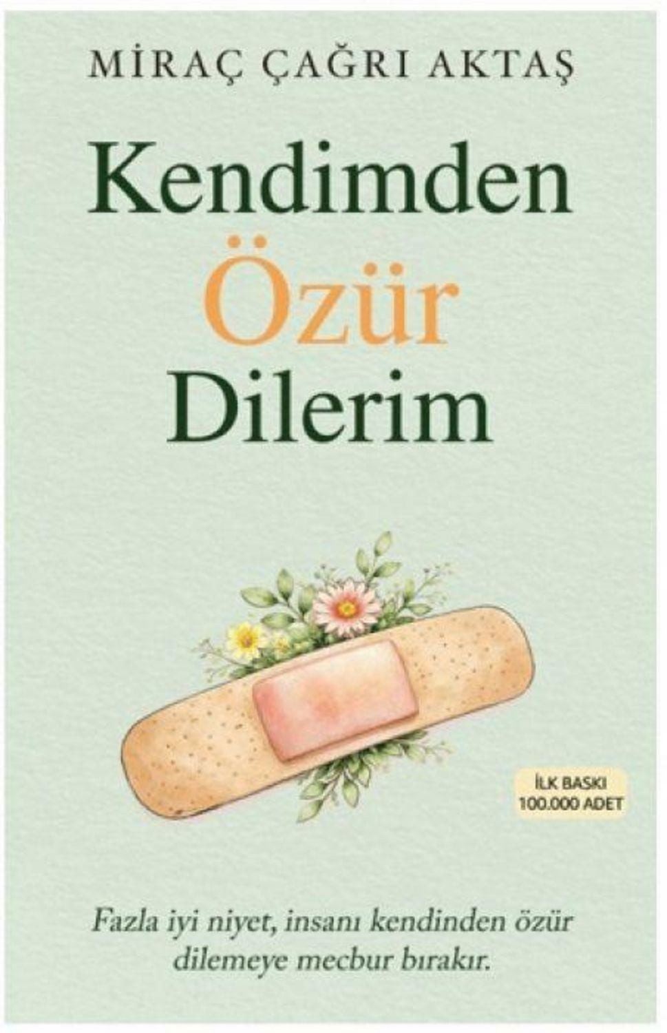 Kendimden Özür Dilerim / Mirac Cagri Aktas