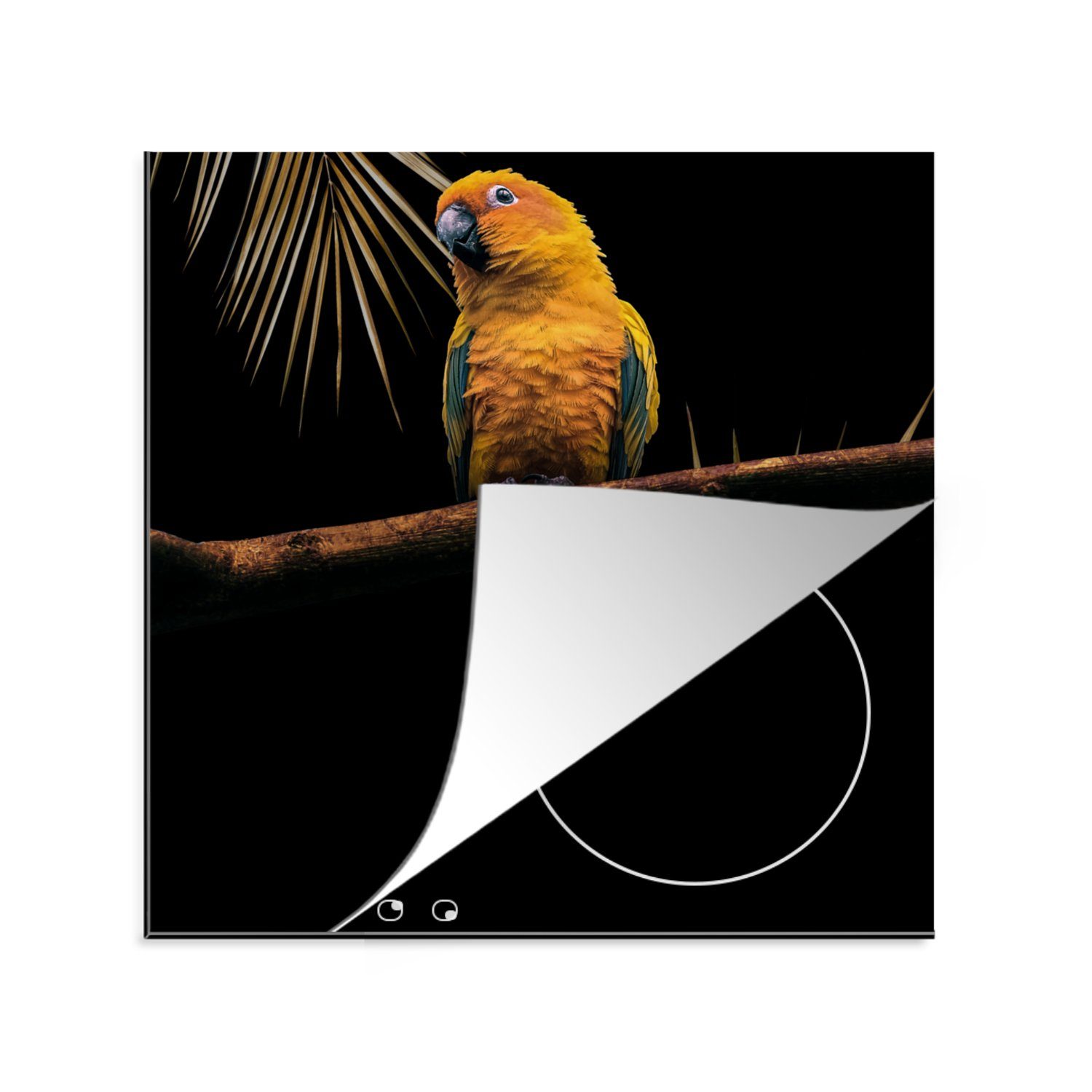 Vogel Ceranfeldabdeckung, Herdblende-/Abdeckplatte (1 Arbeitsplatte - tlg), Farn, für - Zweig küche Papagei MuchoWow 78x78 - Vinyl, cm,